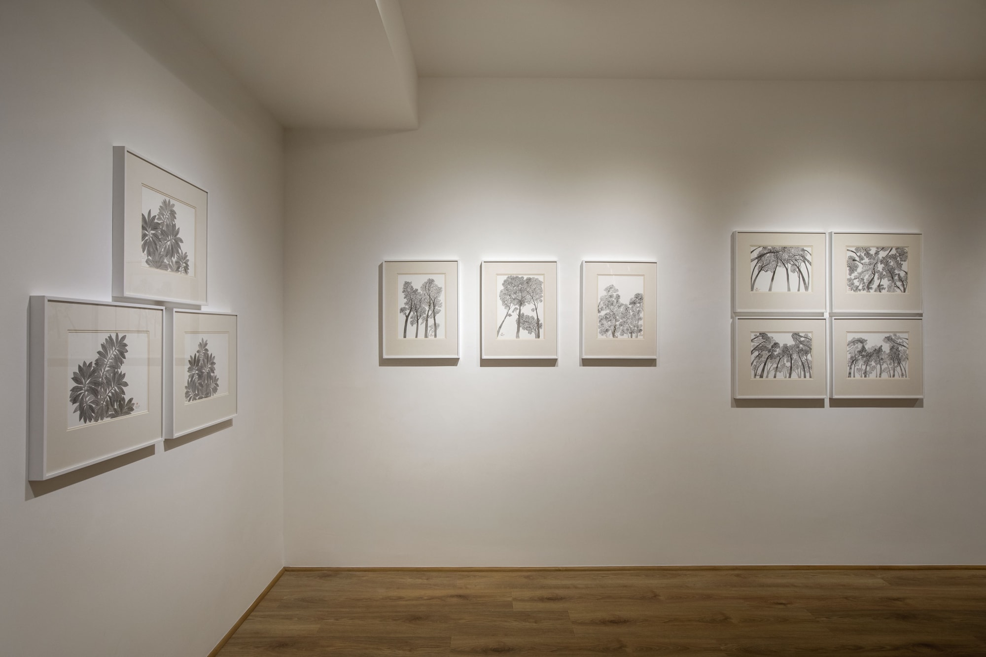 Chameli Ramachandran: Enchanted Garden