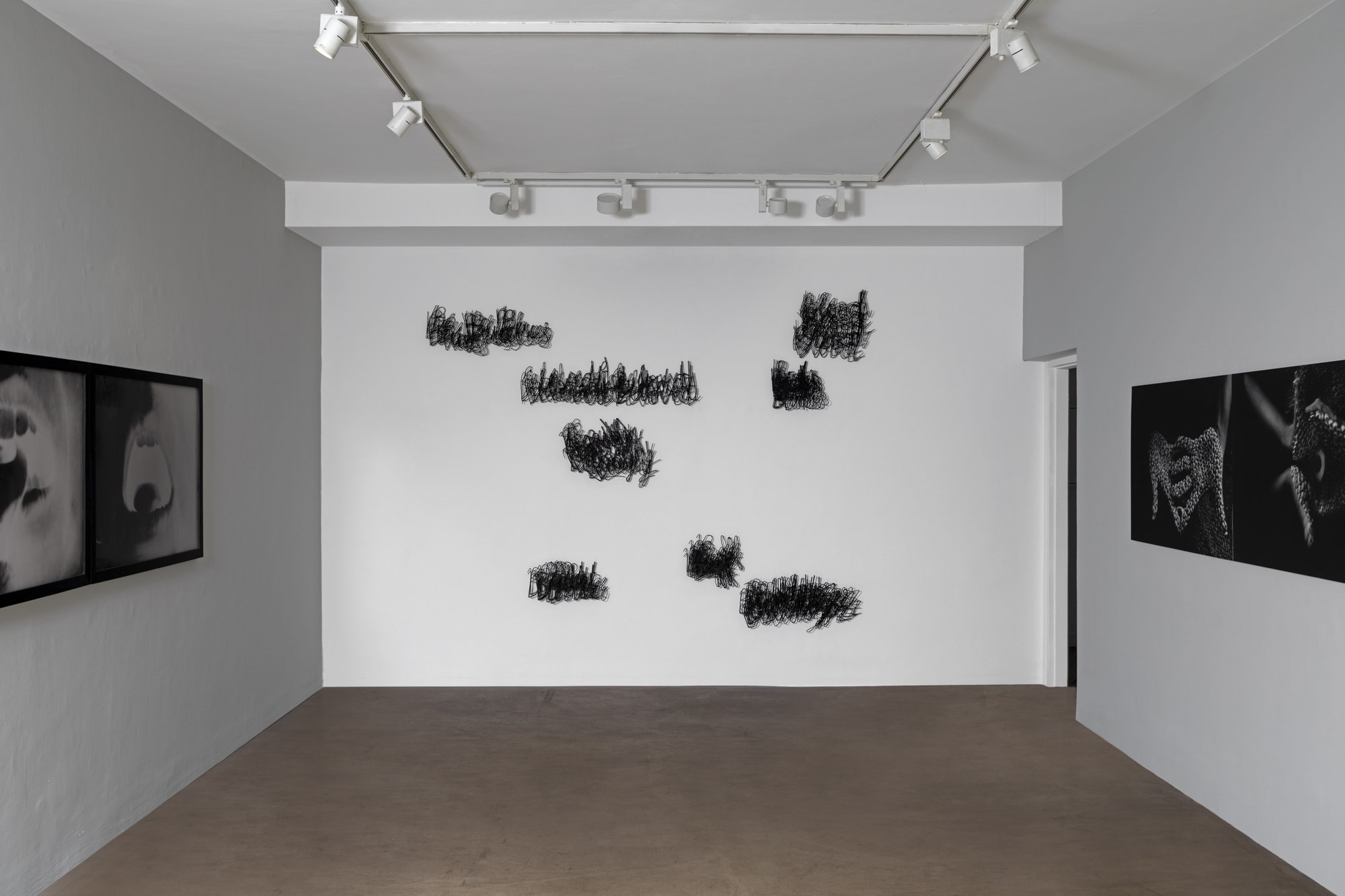 Anita Dube: The Devil in the Detail