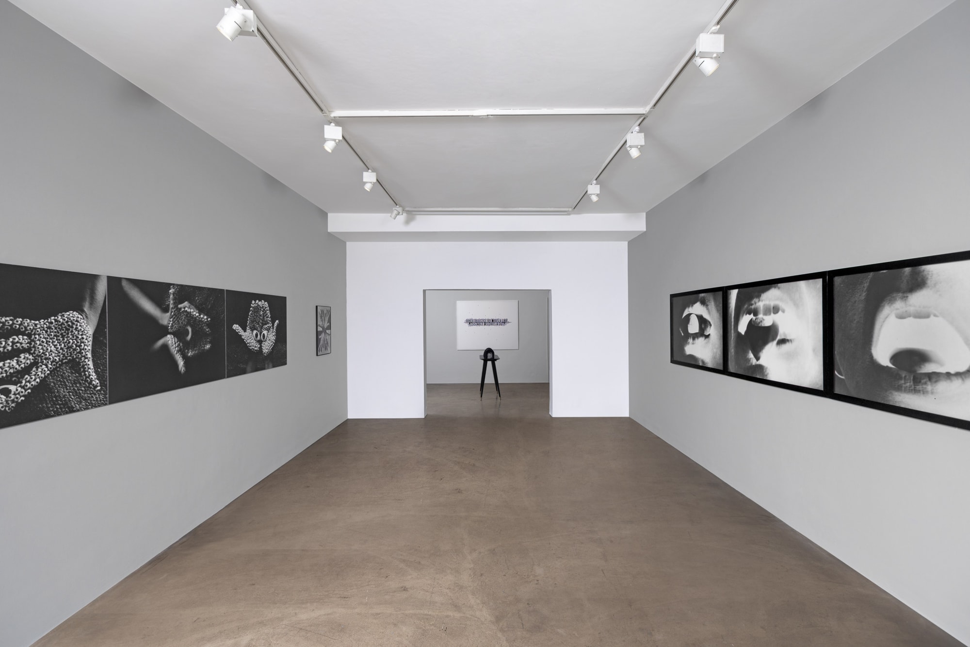 Anita Dube: The Devil in the Detail