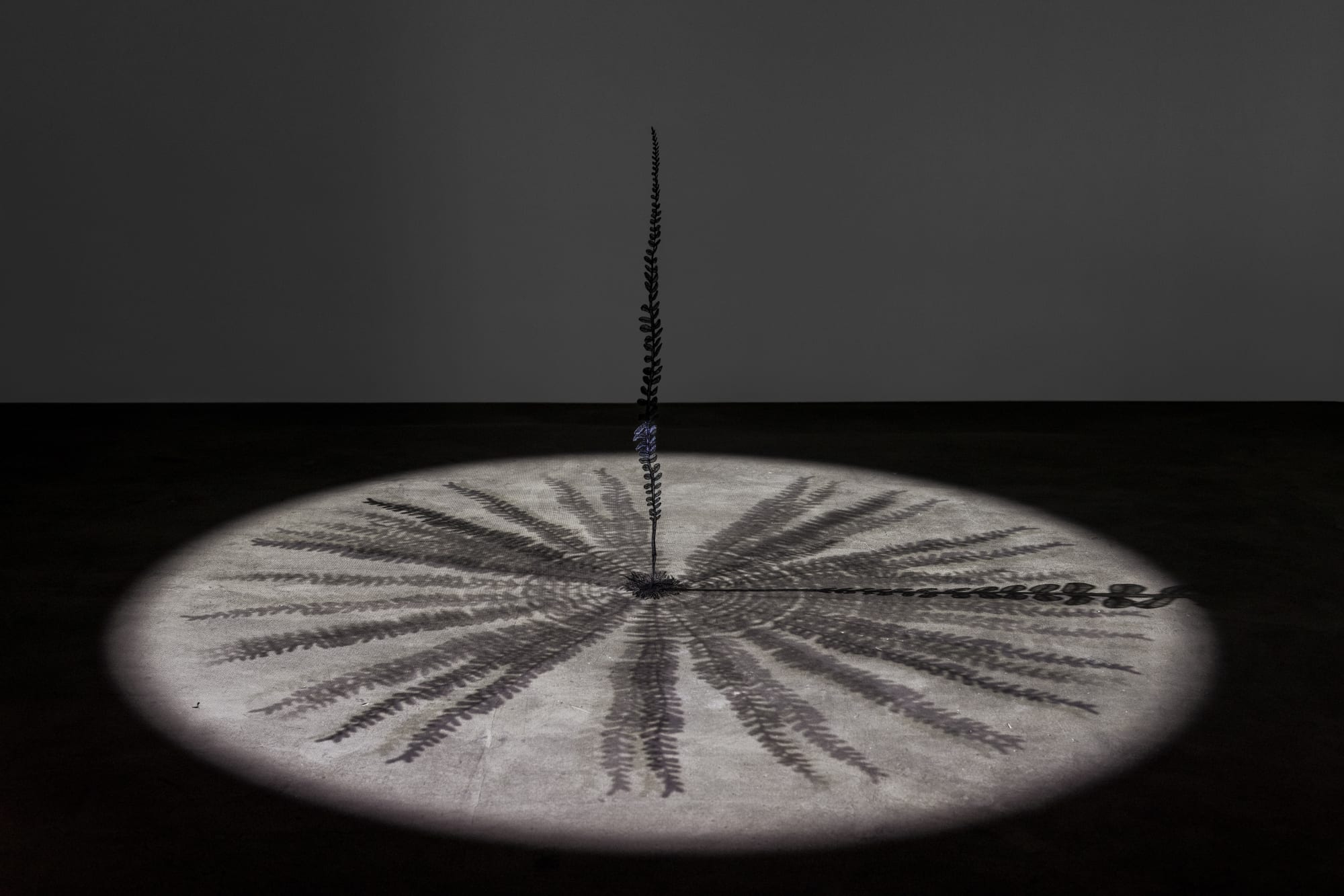 Sumakshi Singh On Time as Rhythmic Interference Thread, wire and projected stop-motion animation 14 min 35 sec
