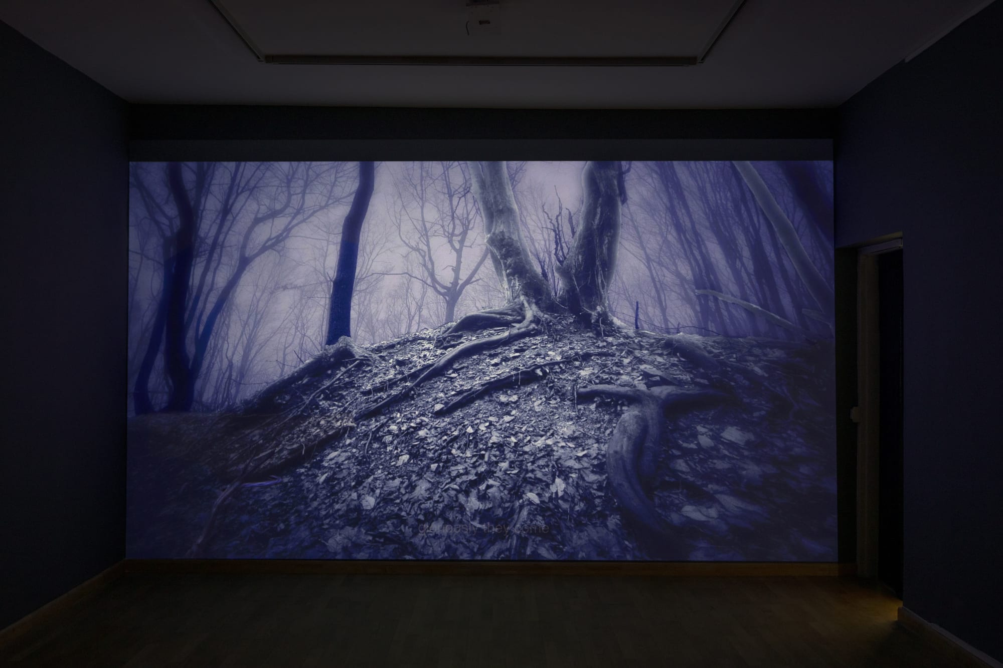 The Coincidence of Time and Being: Ranbir Kaleka and Sumakshi Singh curated by Priya Pall