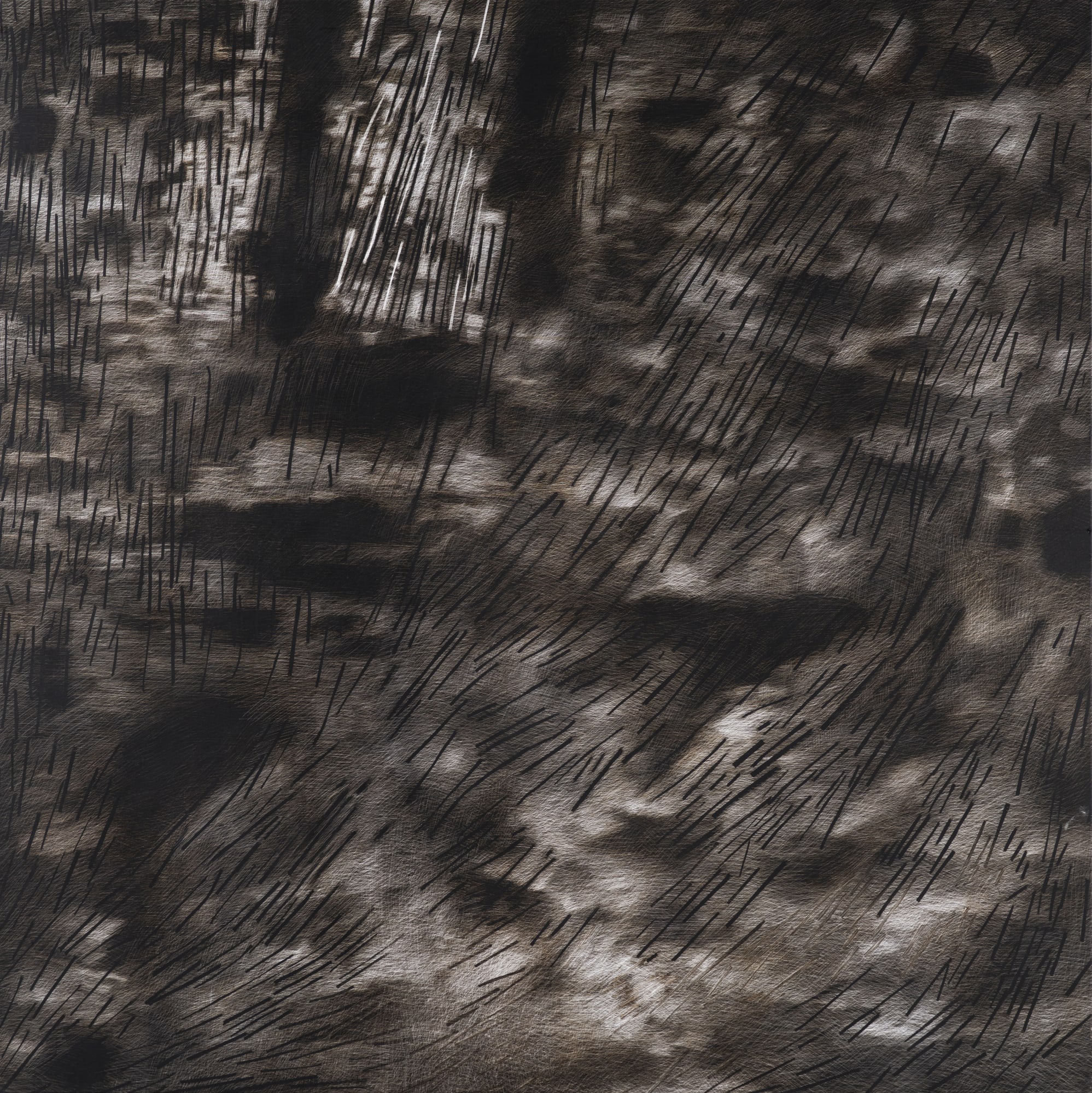 Rameshwar Broota Untitled Oil on canvas, scraped with blade 50 x 50 in 2023