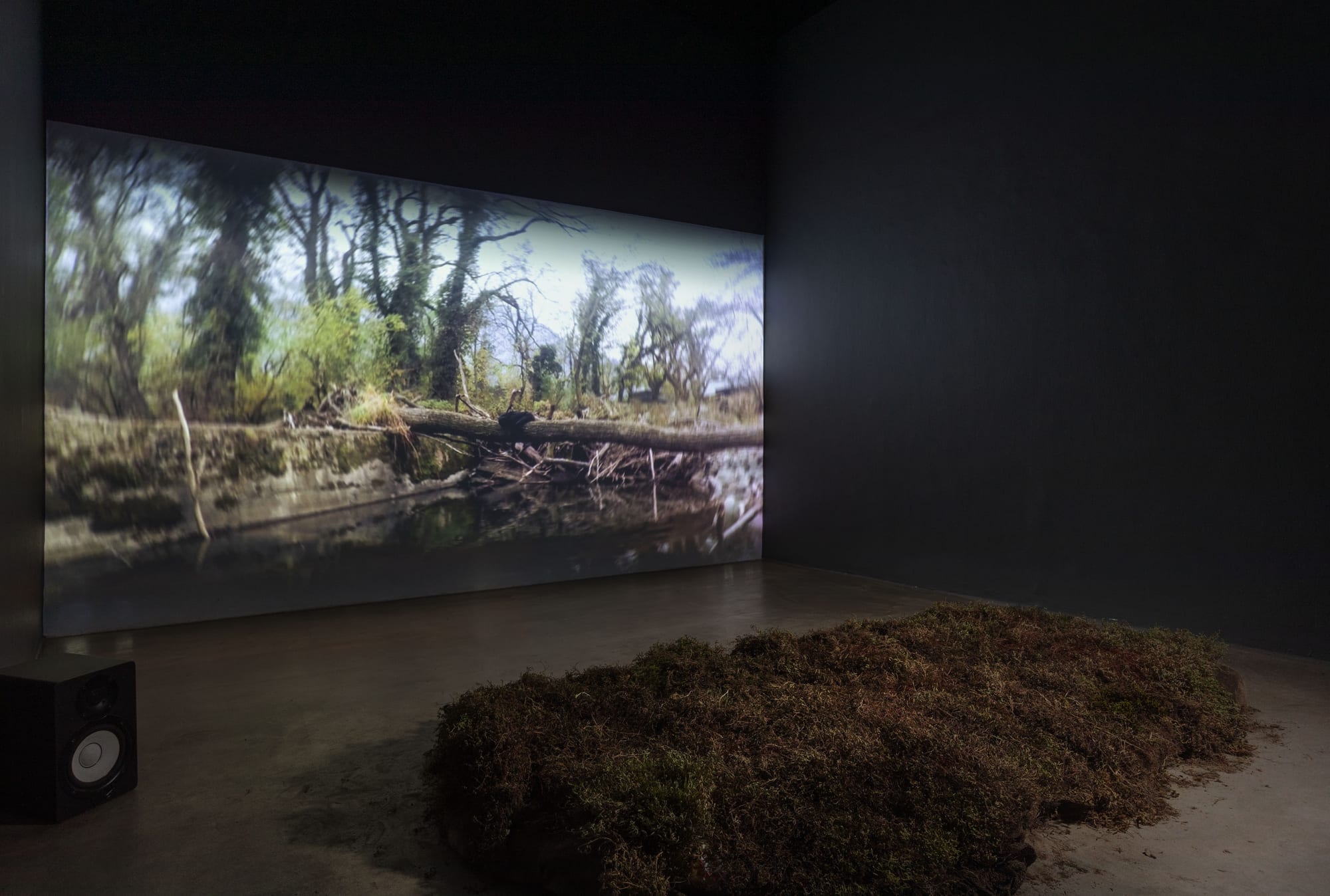 FICA EAA+ | however the image enters its force remains