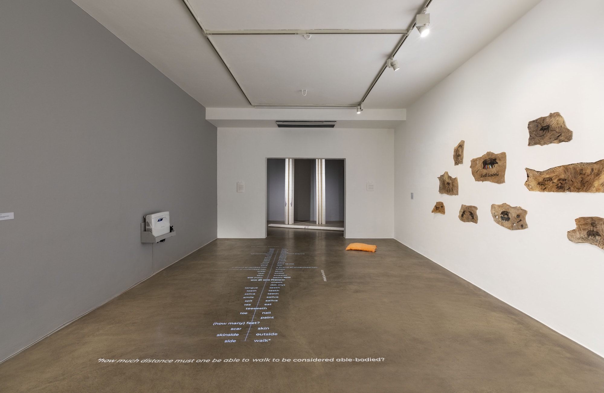 FICA EAA+ | however the image enters its force remains