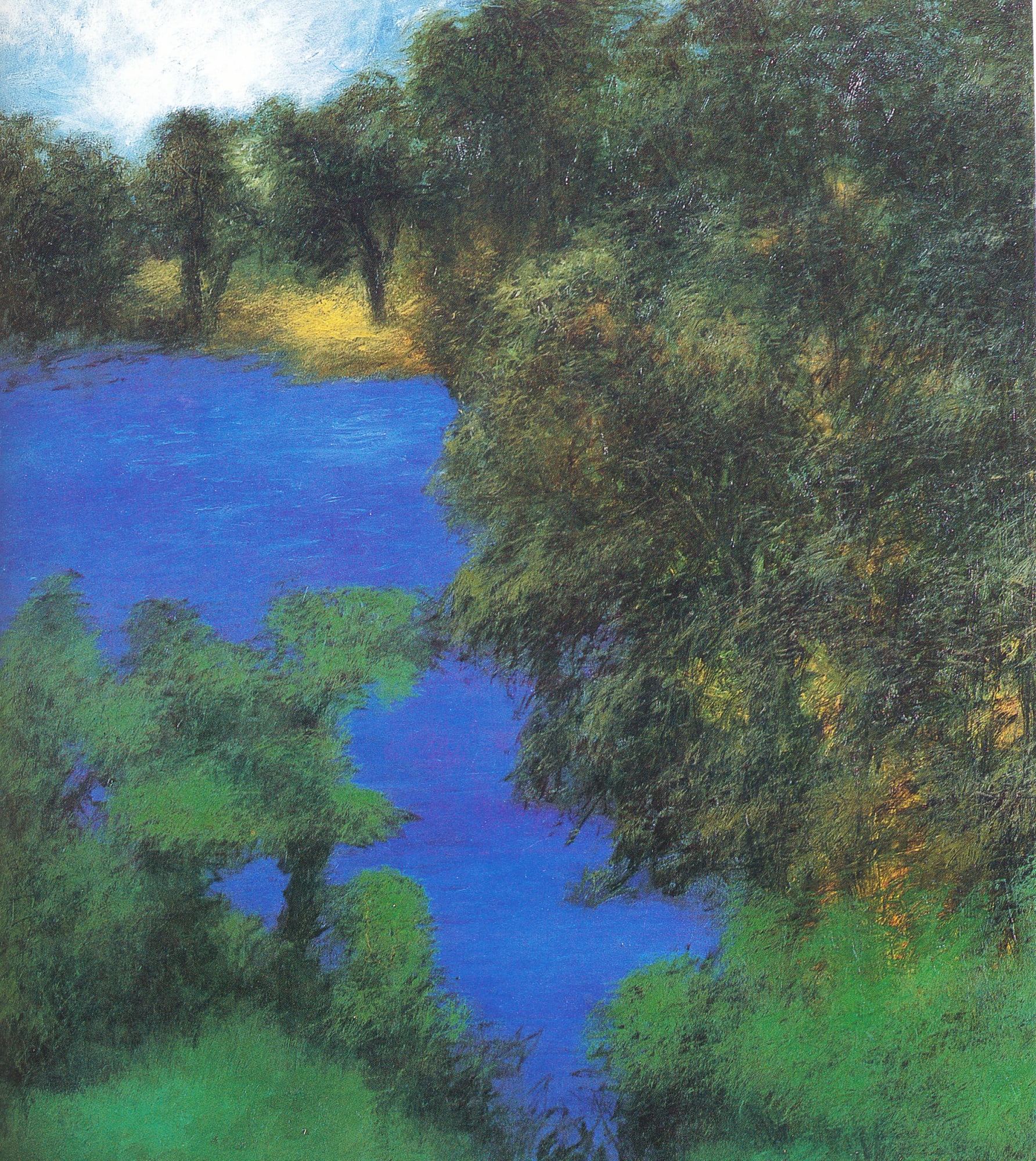 Paramjit Singh Near the Lake, 1995 Oil on canvas 42 x 36 in