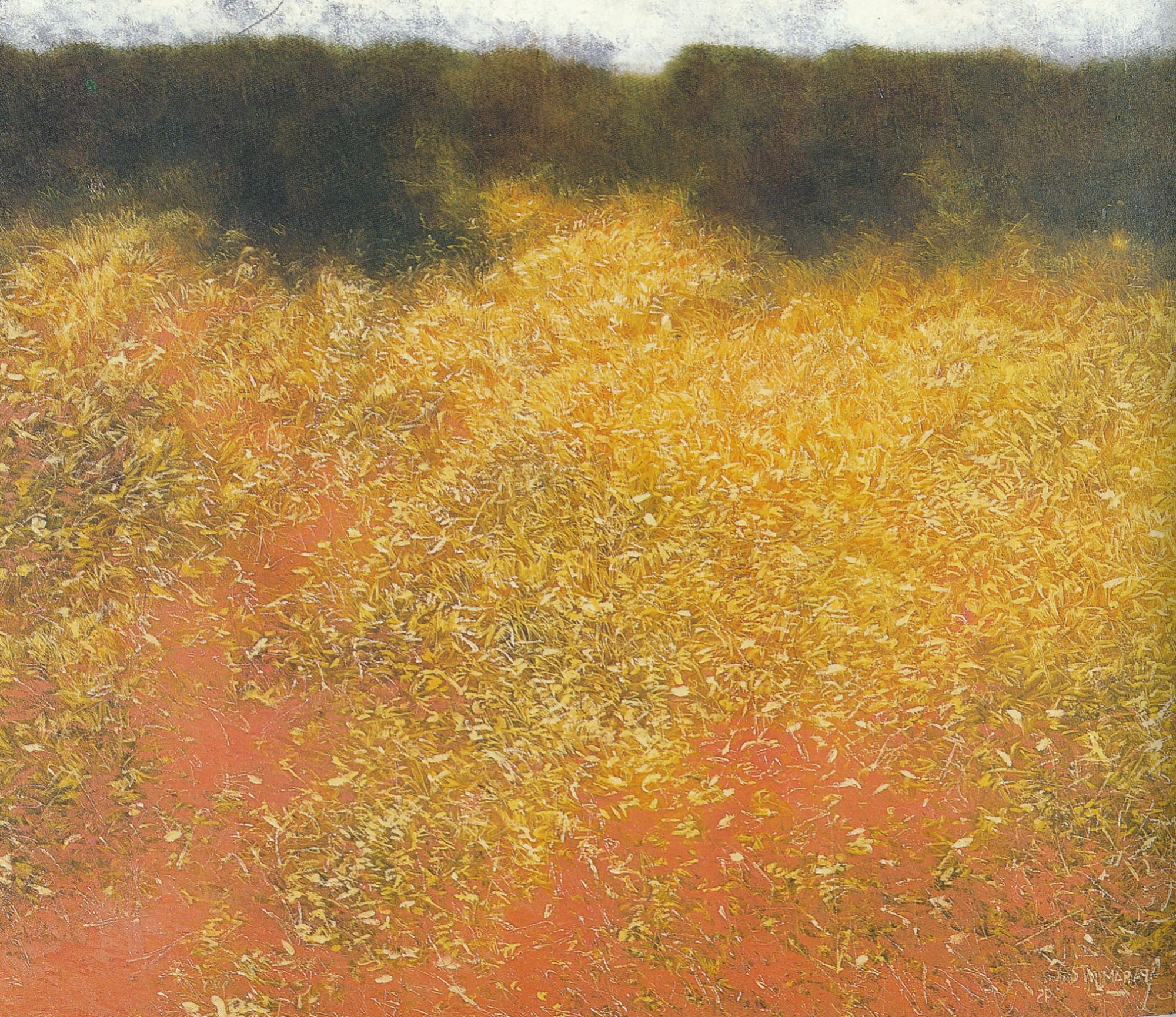 Paramjit Singh Ochre Field-1, 1995 Oil on canvas 48 x 54 in