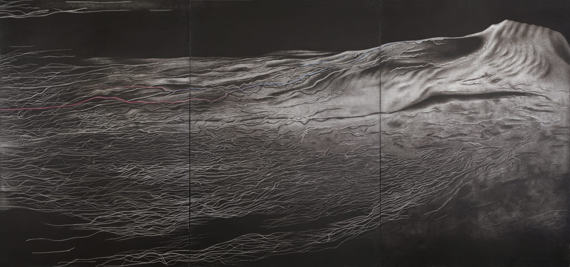 Rameshwar Broota Metamorphosis VI, 1986 170 x 360 in