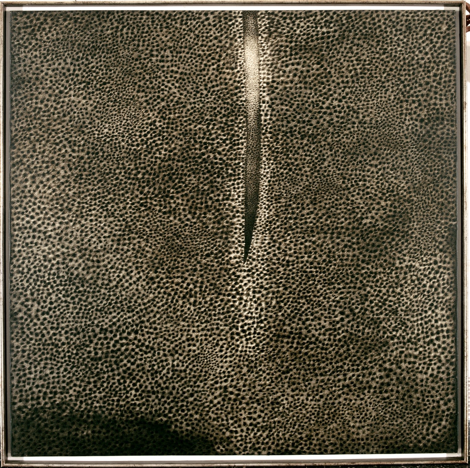 Rameshwar Broota Traces of Man II, 1998 60 x 60 in