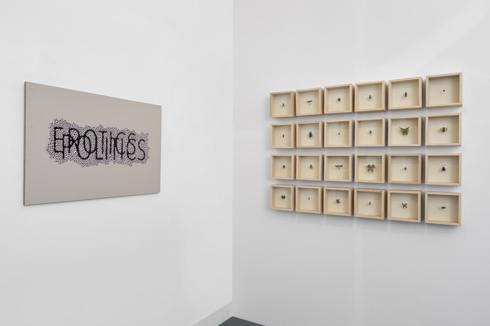 Delhi Contemporary Art Week 2024