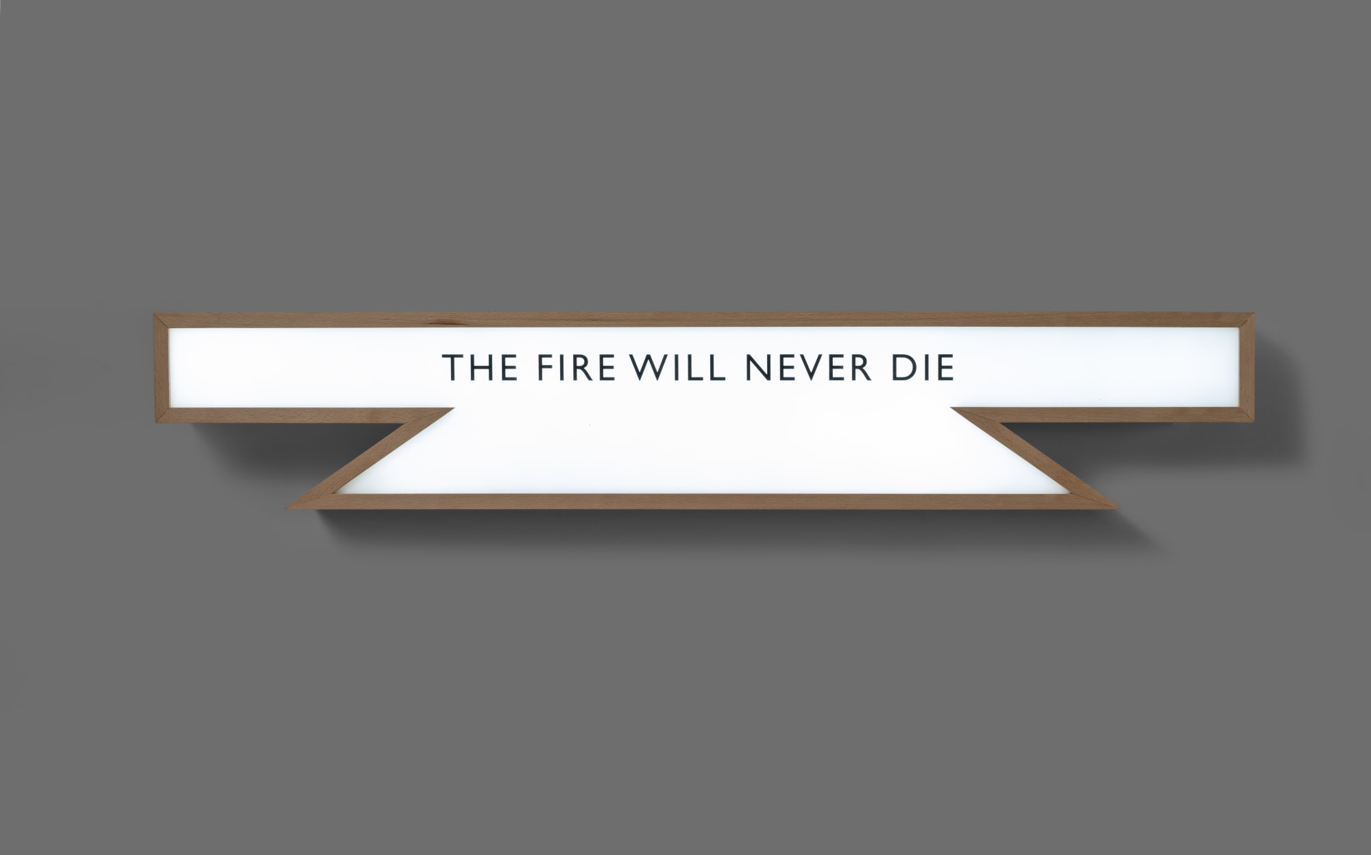 The Fire Must Never Die, 2015–25 Print on acrylic, steam beach lightbox 42 x 7.5 x 4 in
