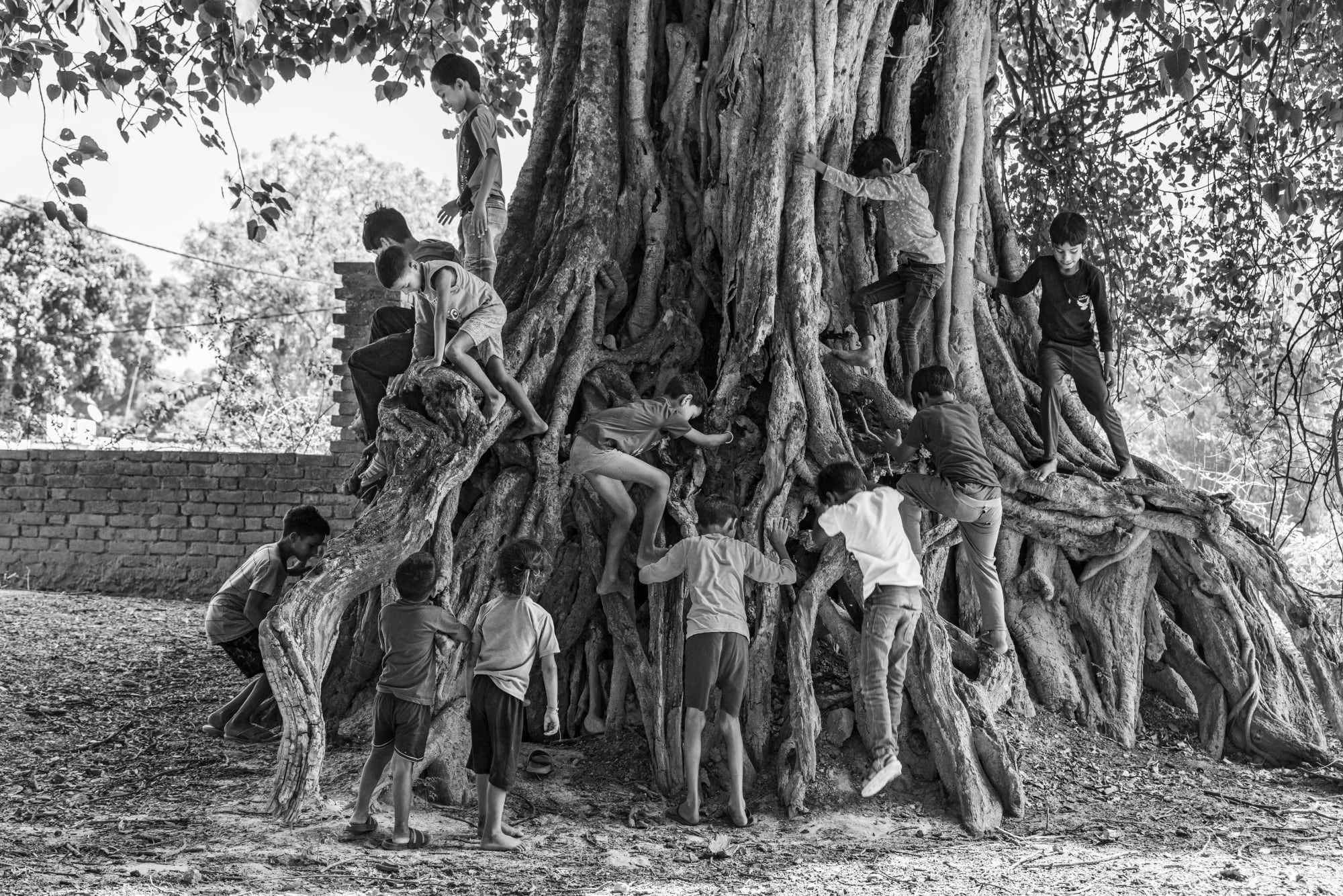 Jatpura, Pilibhit, Uttar Pradesh, India (from the series Bachpan) Archival pigment print 16 x 24 in