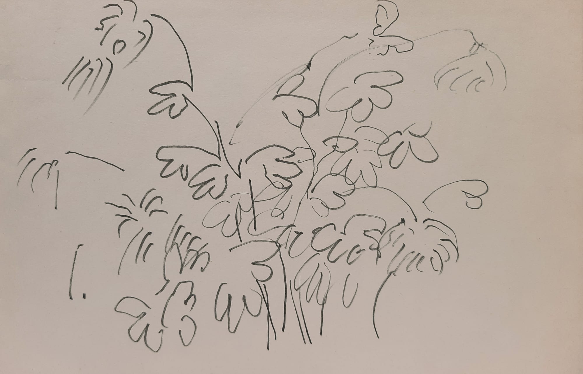 Reba Hore Untitled Marker pen on paper