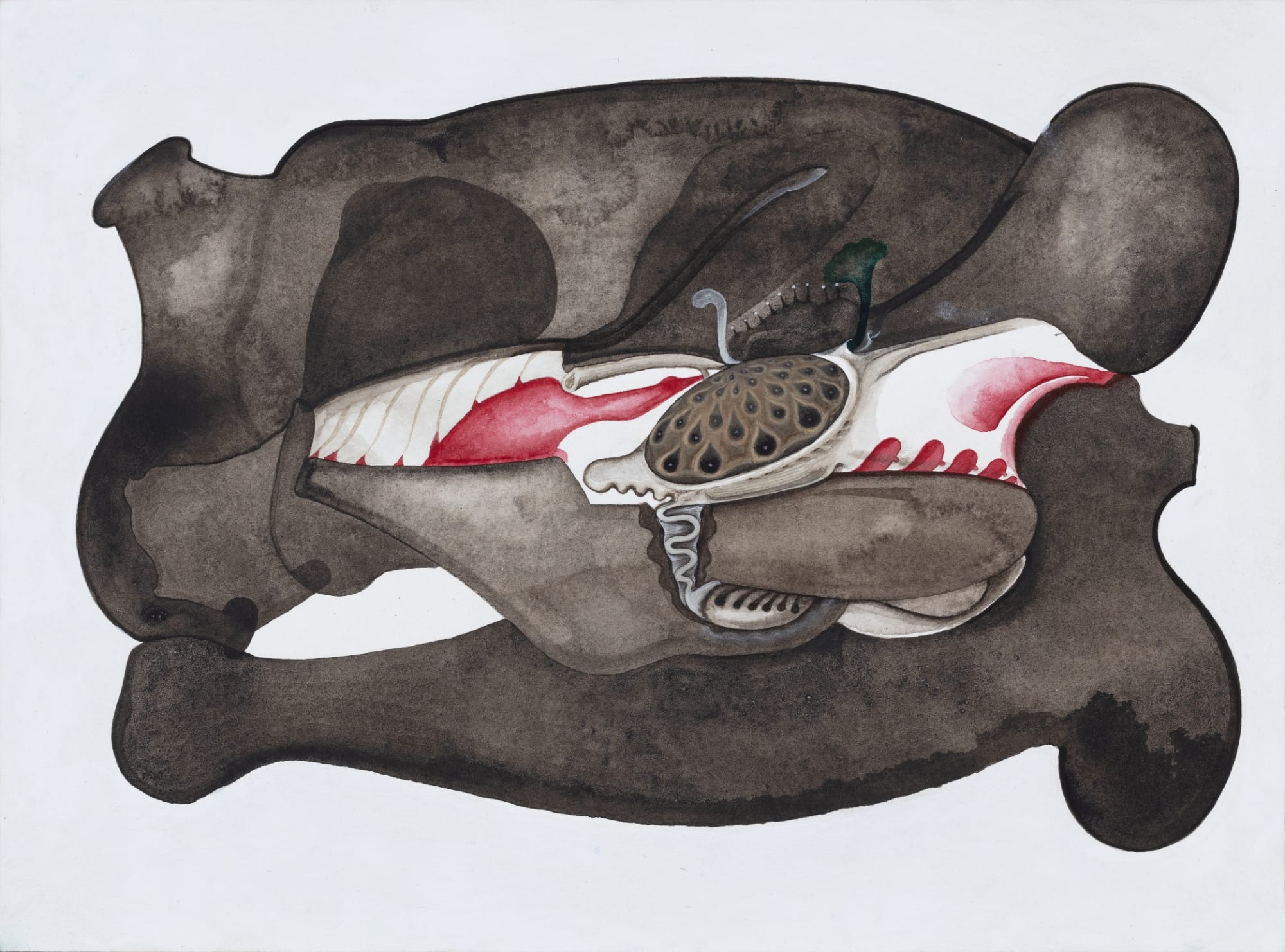 Anandajit Ray | Miasmatica