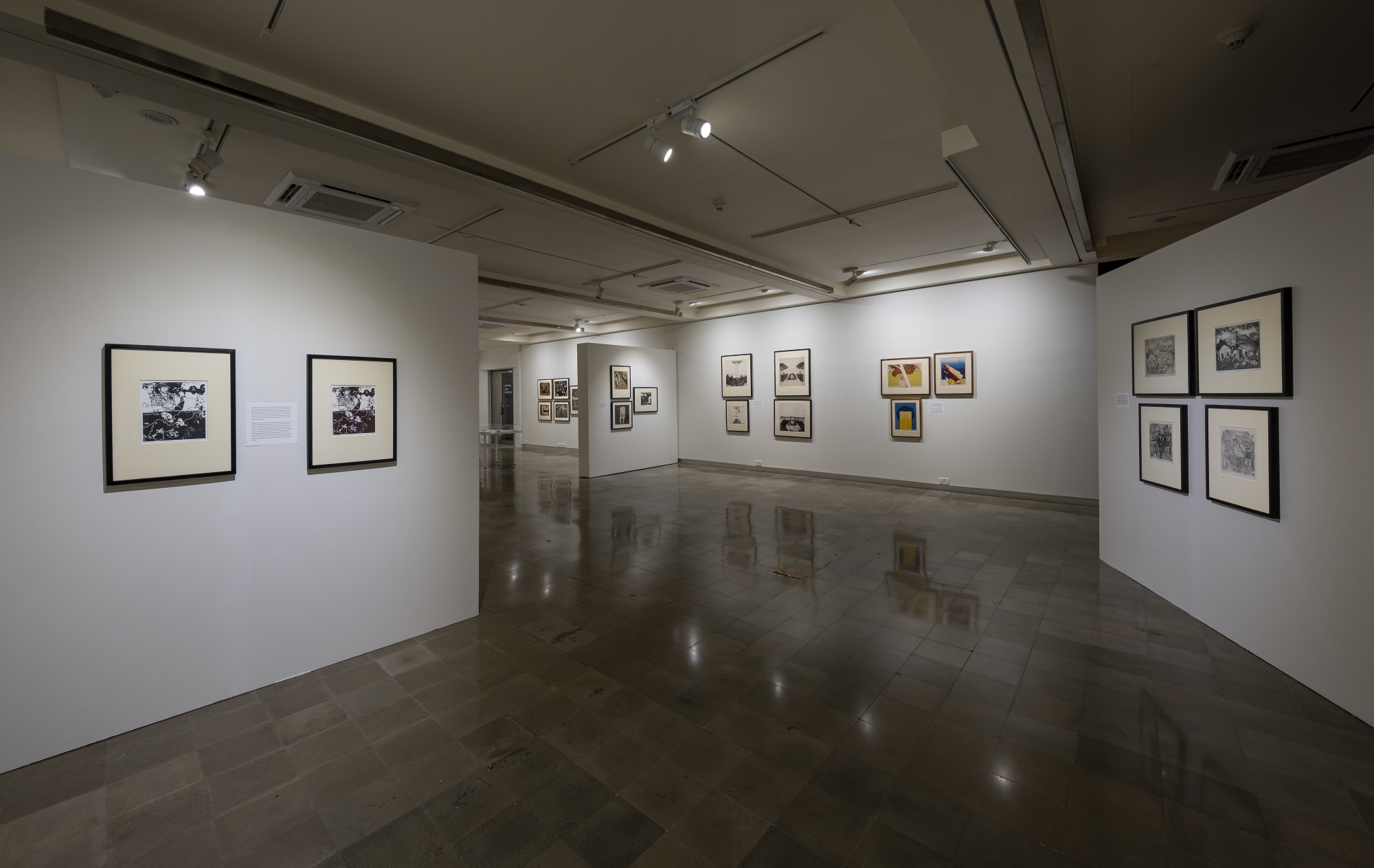 Gulammohammed Sheikh: Hand Prints | Mind Prints