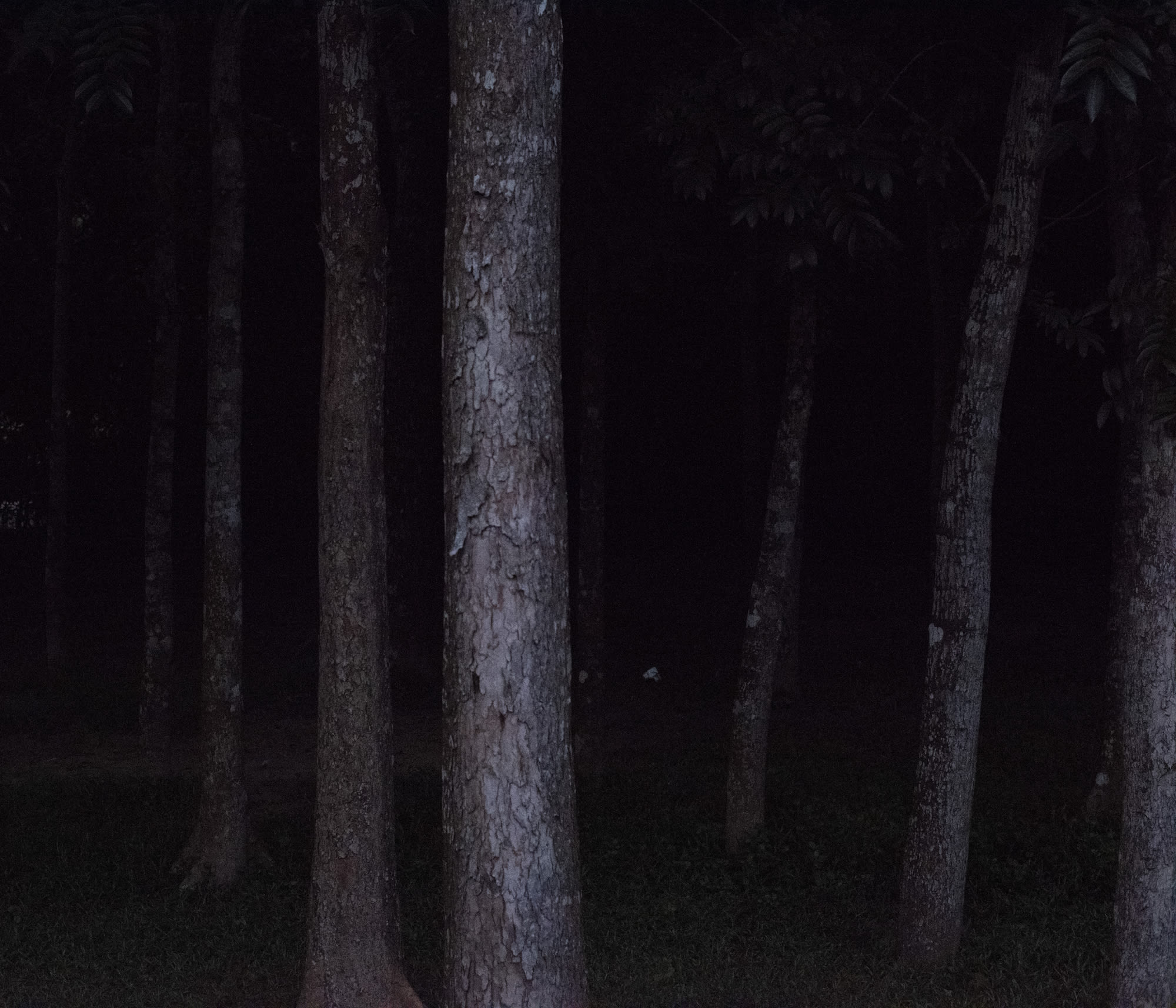 Files of the disappeared Digital print on fine art pearl paper 2022