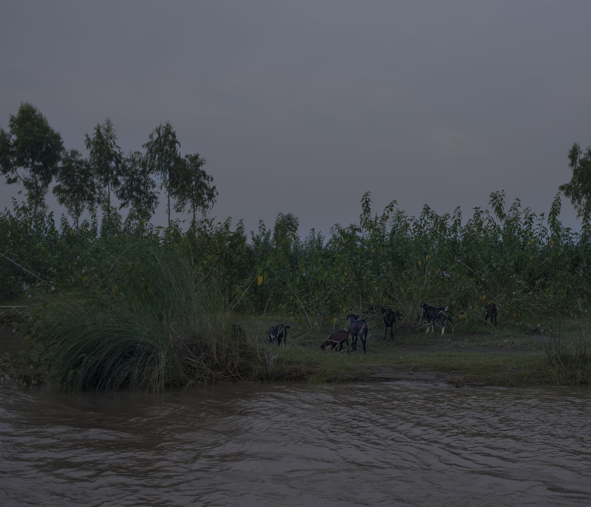 Files of the disappeared Digital print on fine art pearl paper 2022