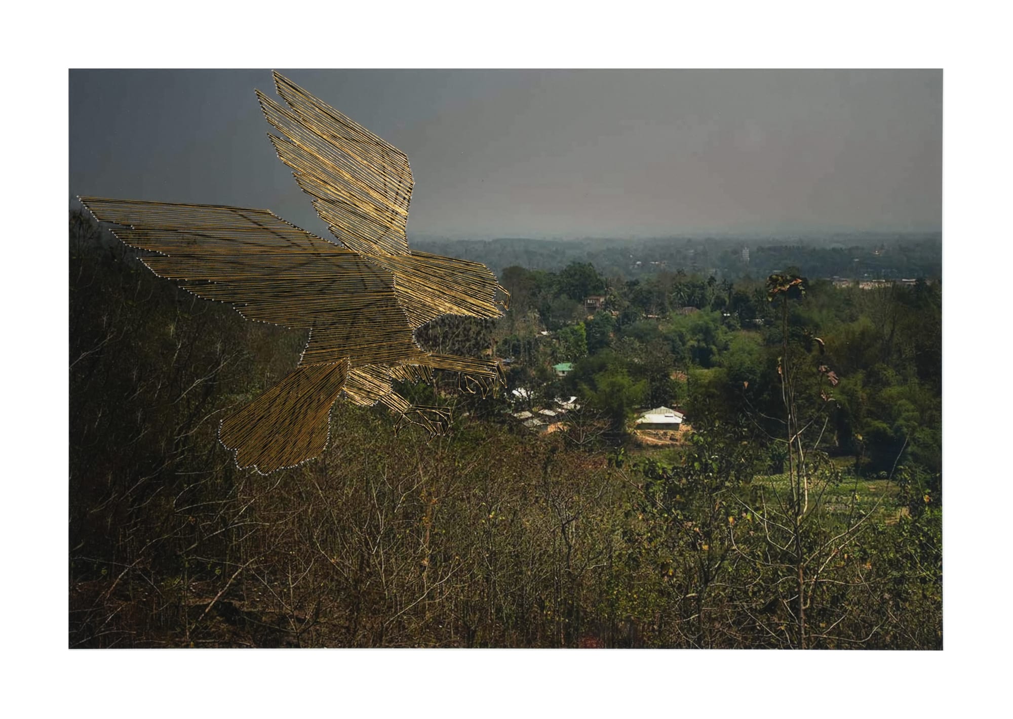 Than Para C-type print on archival paper and golden silk thread 2025