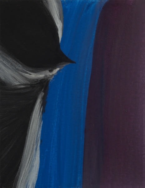 The Symphony of Birds