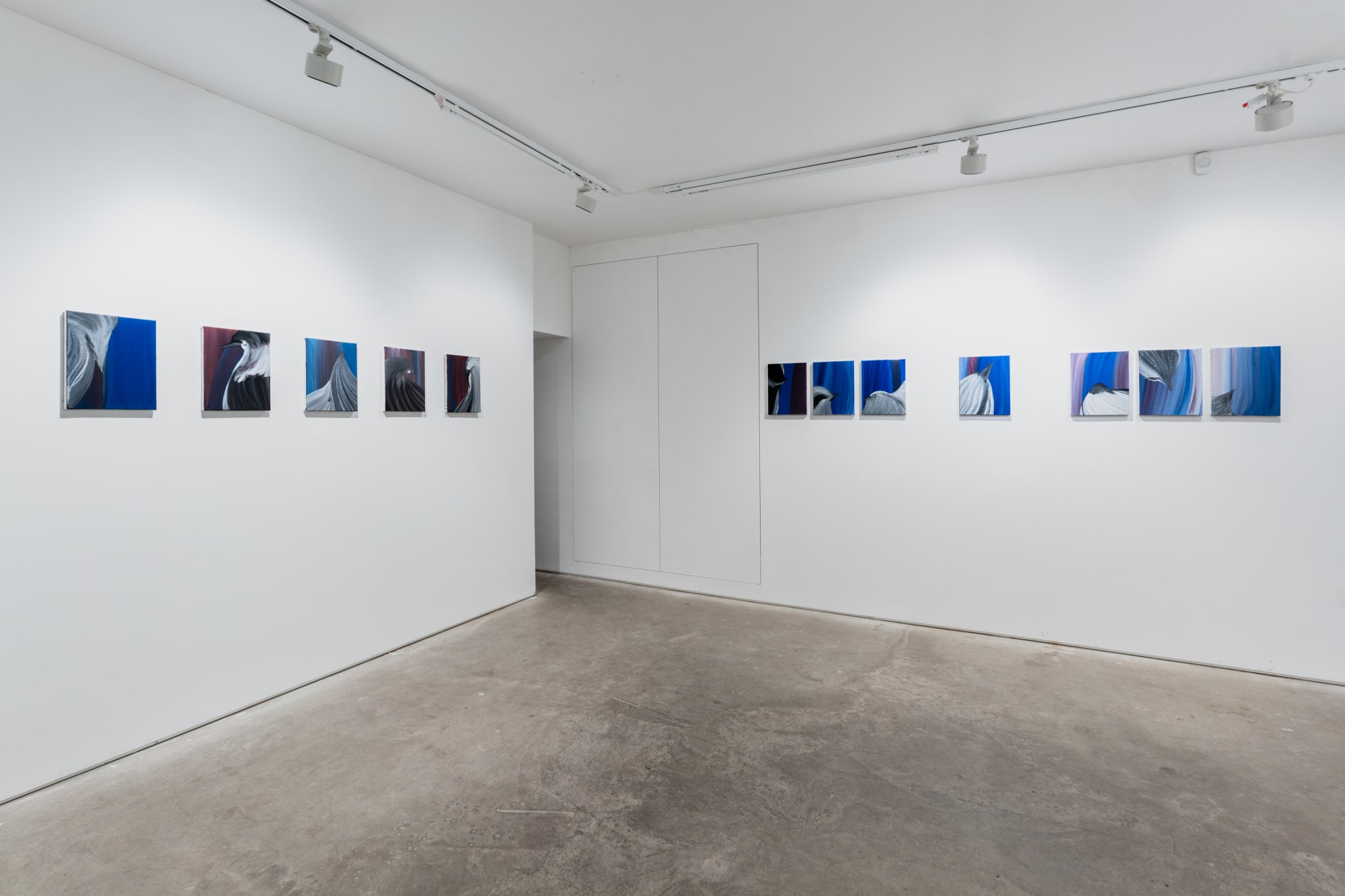 The Symphony of Birds