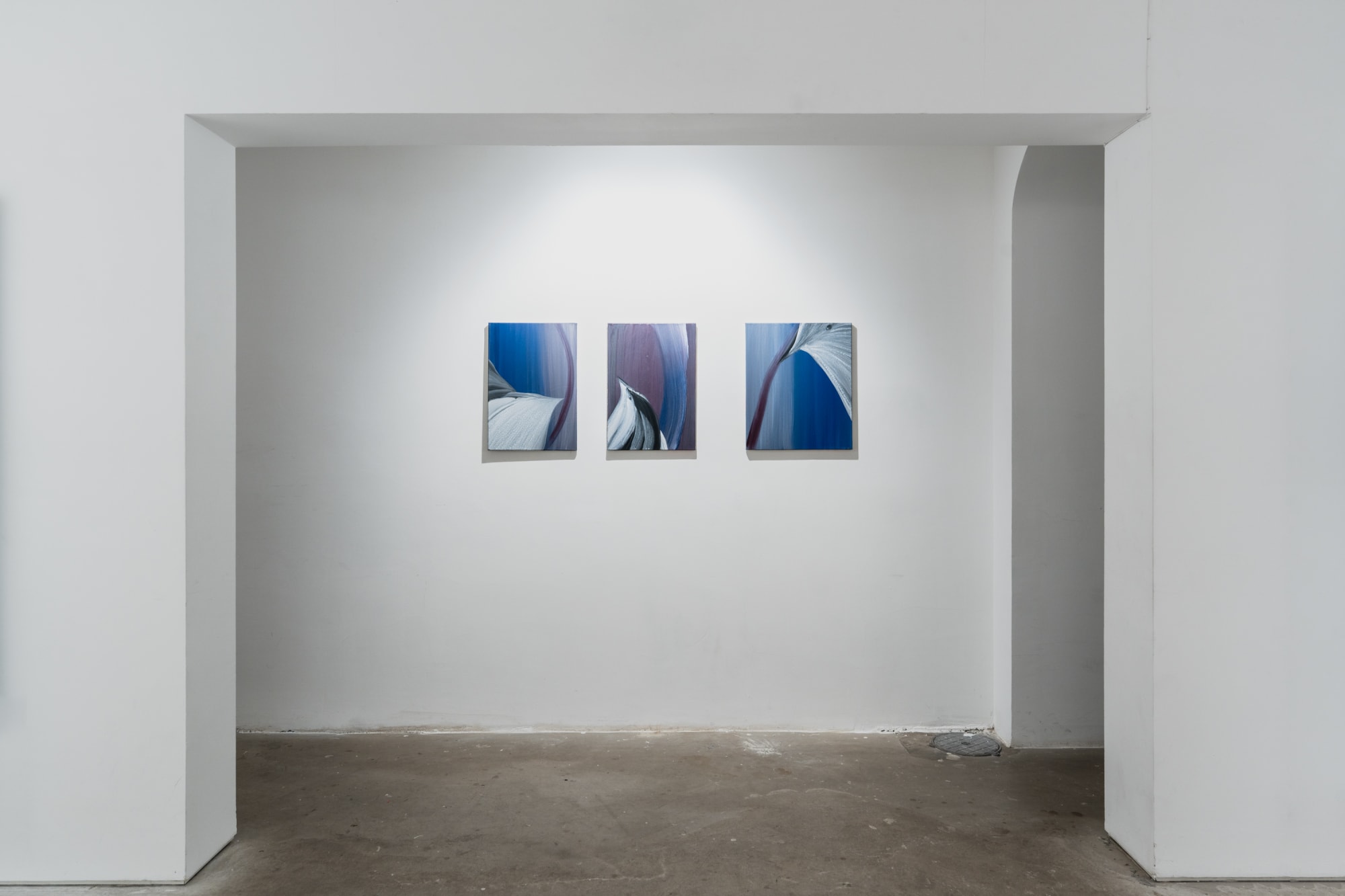 The Symphony of Birds