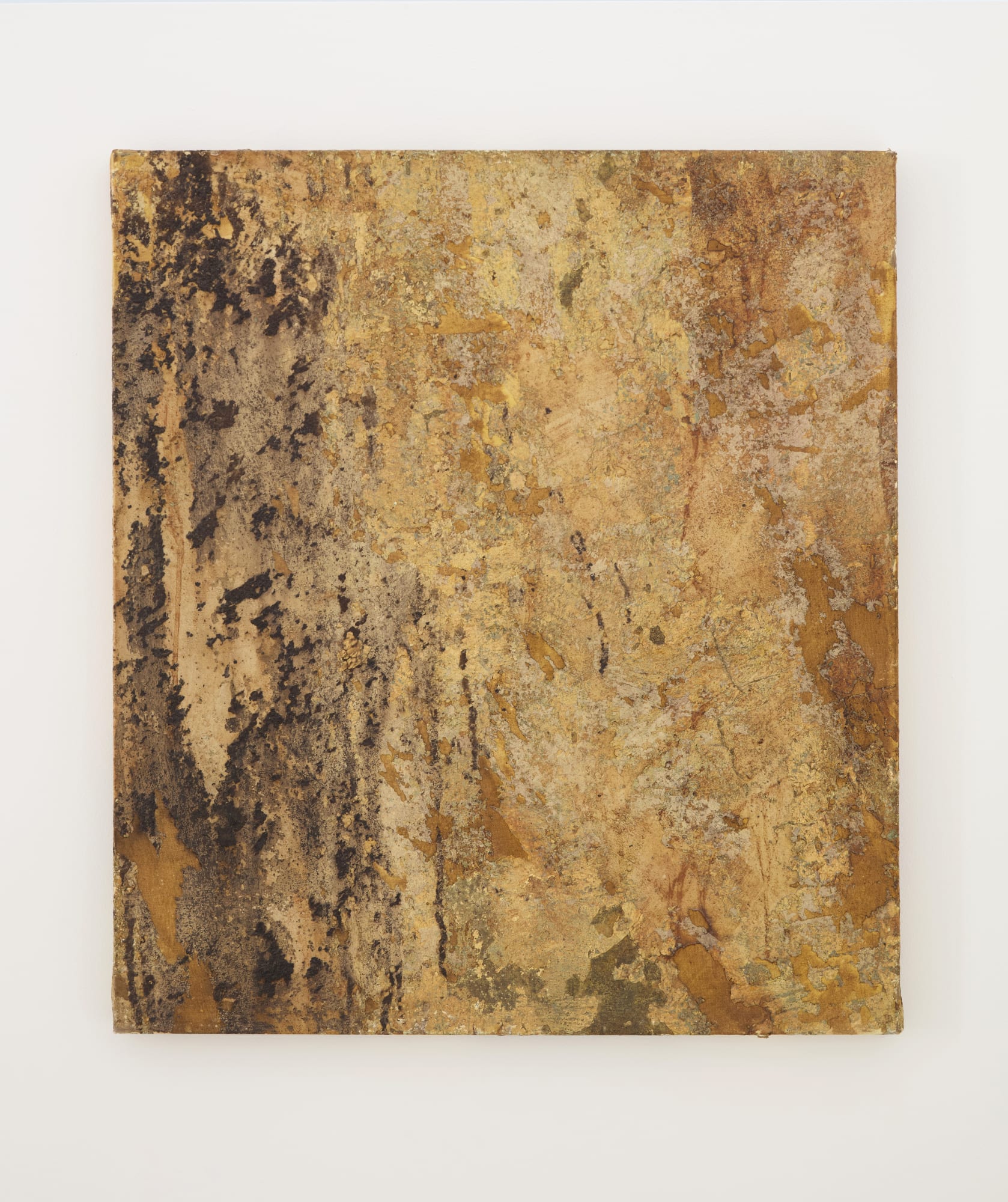 Vestiges of the Pleistocene