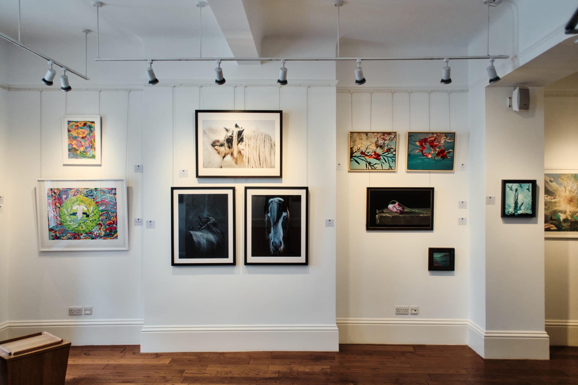 Jersey Summer Exhibition 2024