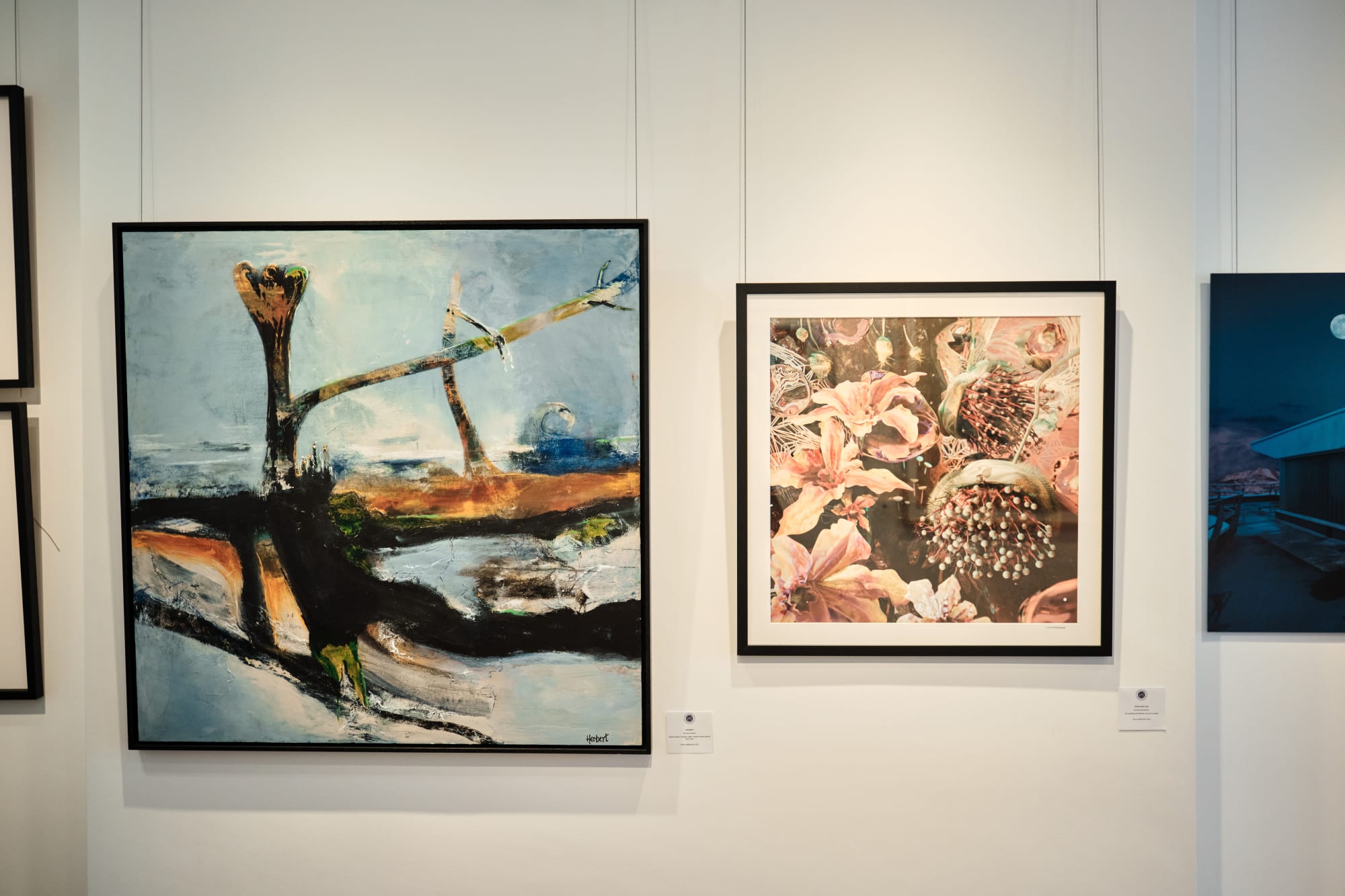 Jersey Summer Exhibition 2025