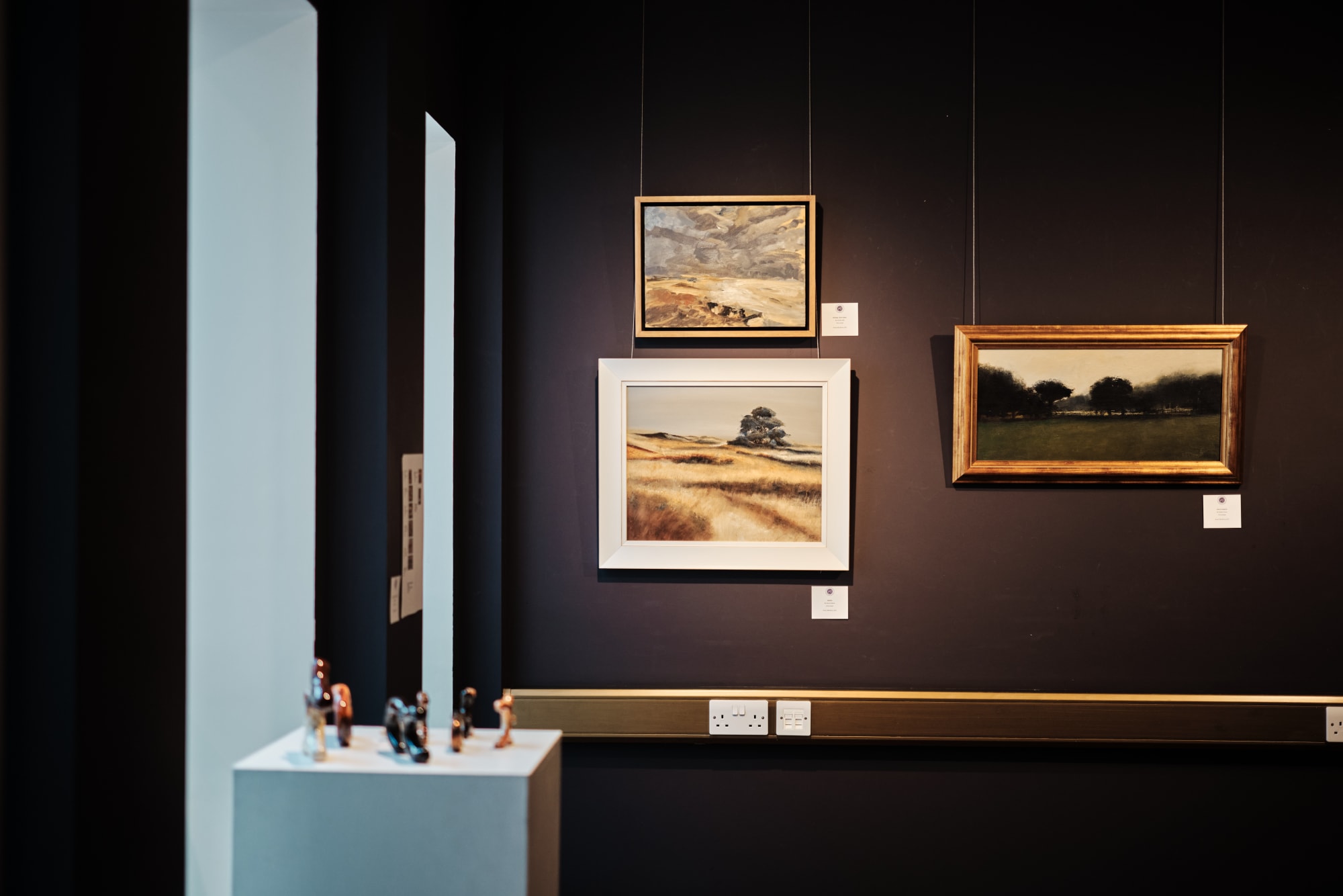 Jersey Summer Exhibition 2025