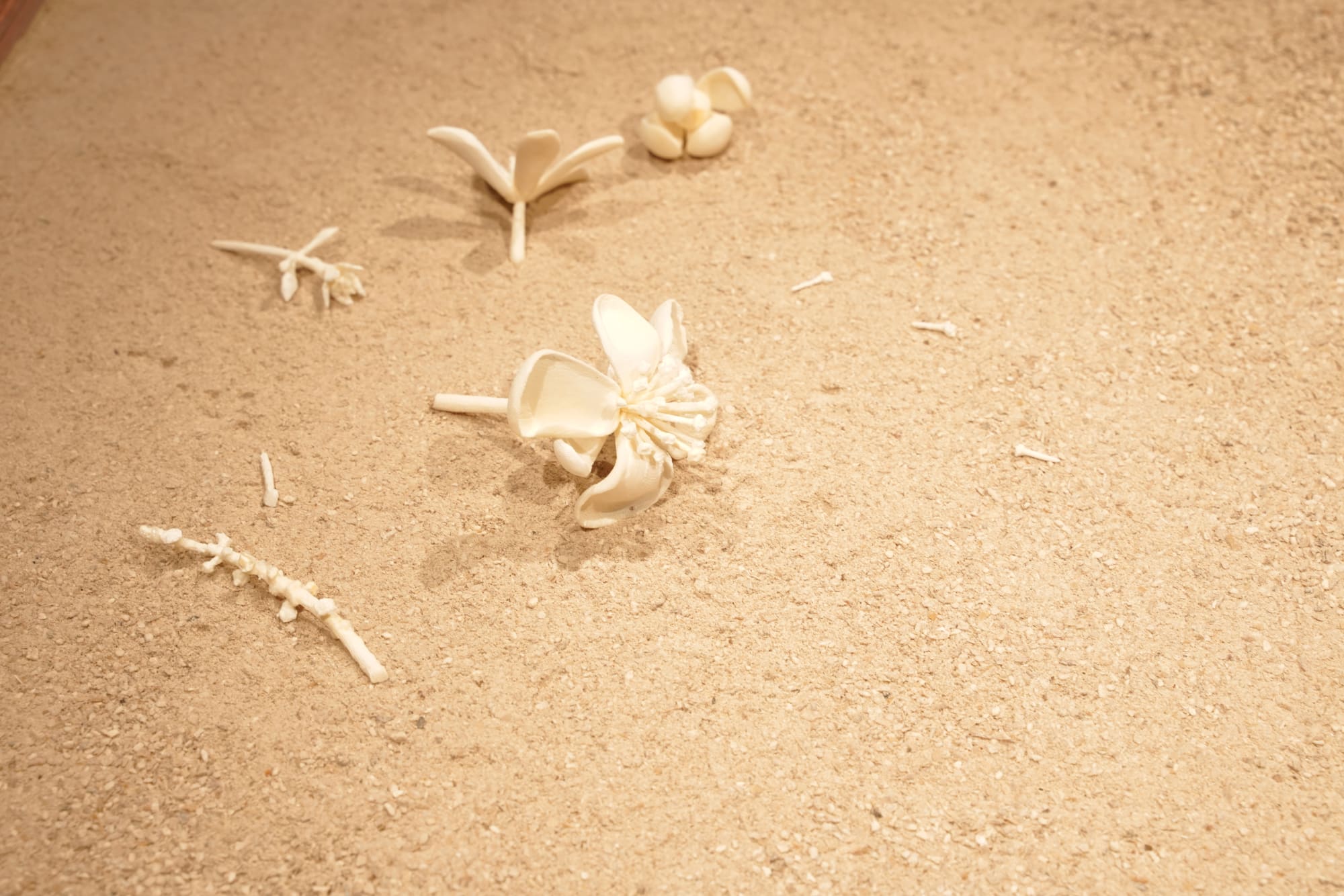 BRANDNEW 2019 ART PROJECT