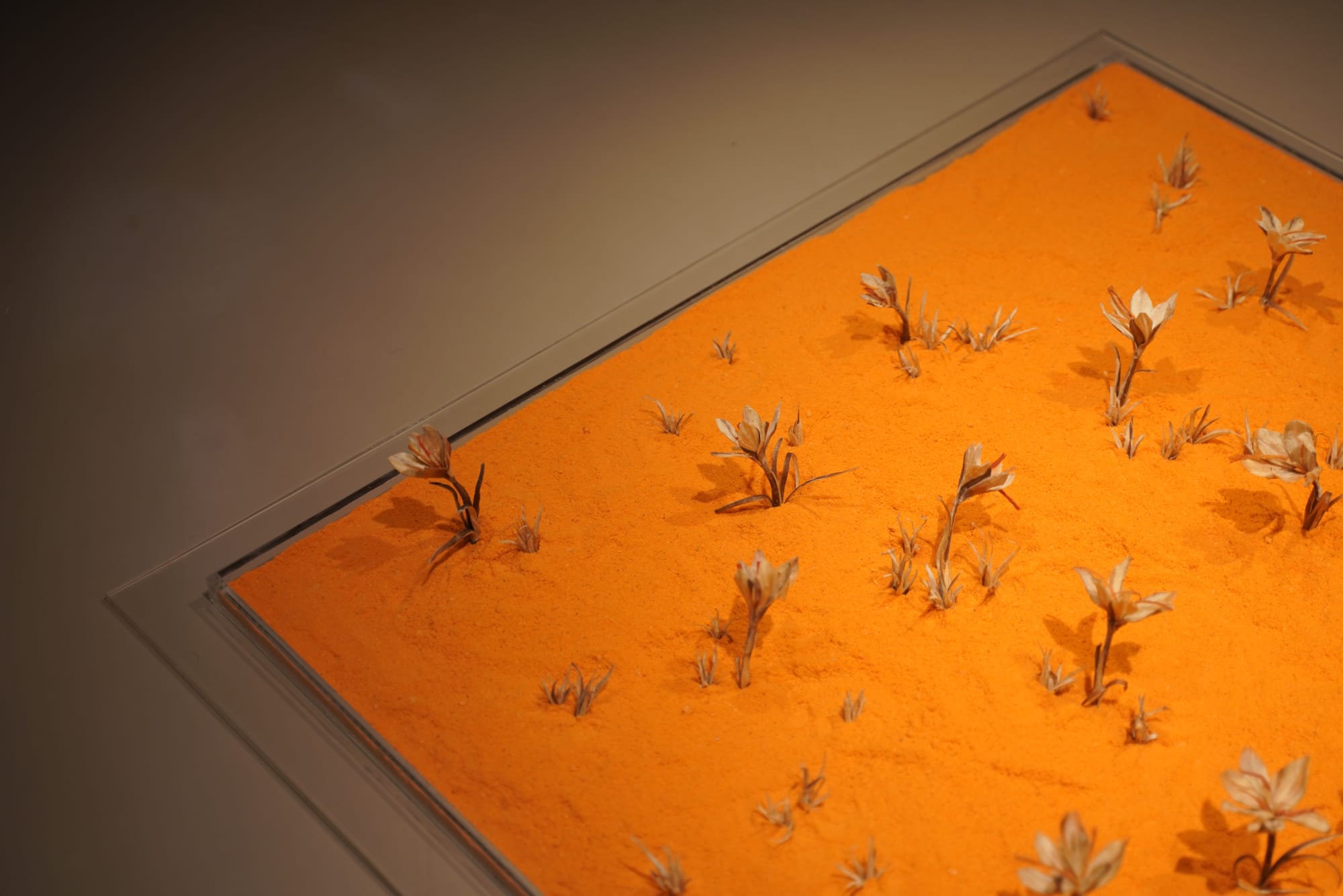 BRANDNEW 2019 ART PROJECT