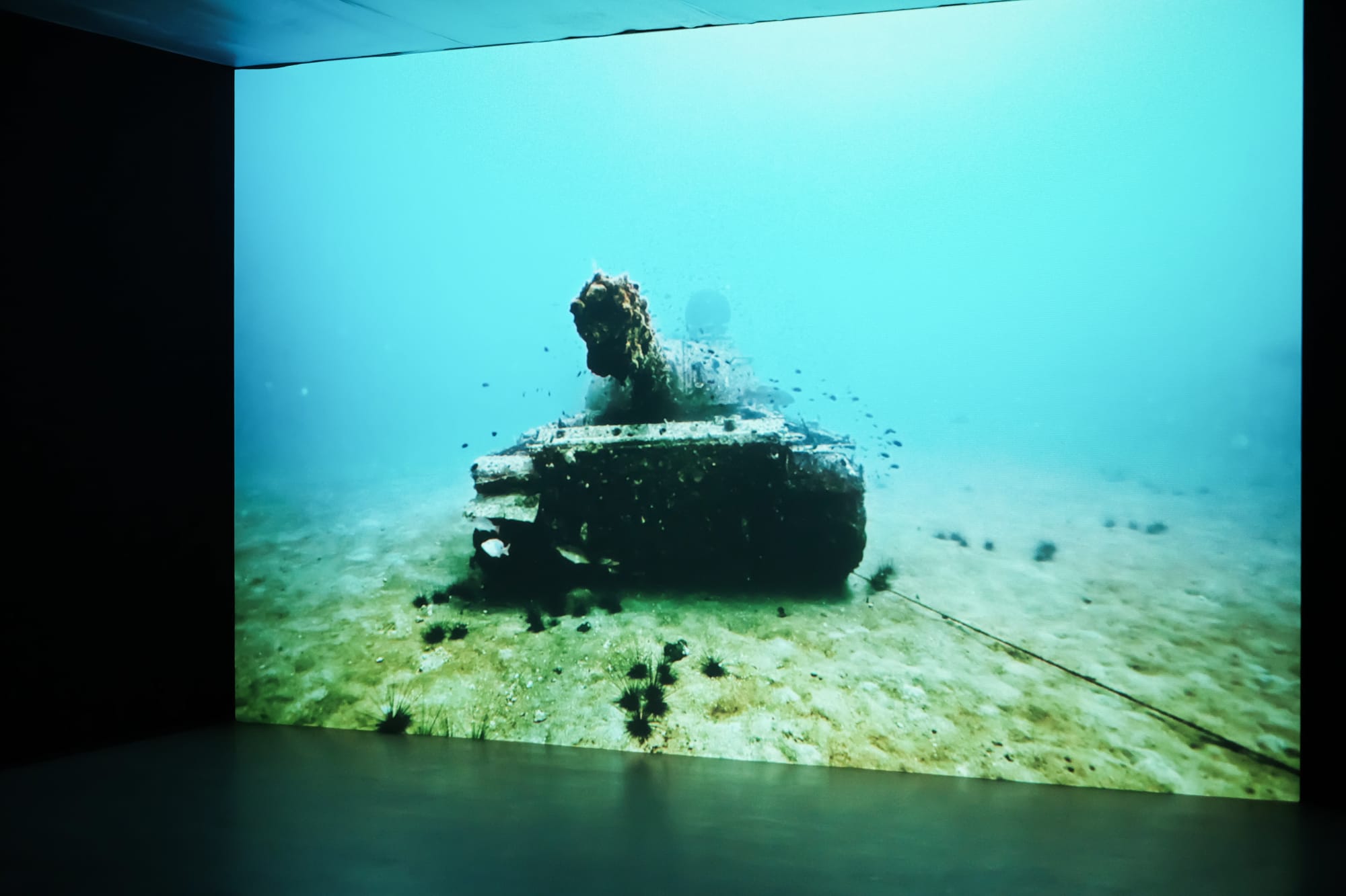 YOU LEAD ME DOWN, TO THE OCEAN