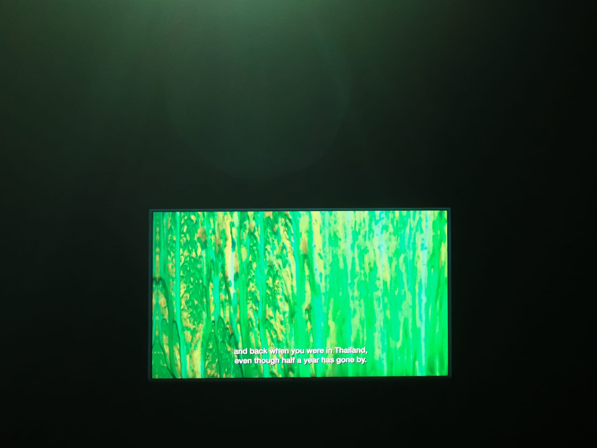 YOU LEAD ME DOWN, TO THE OCEAN