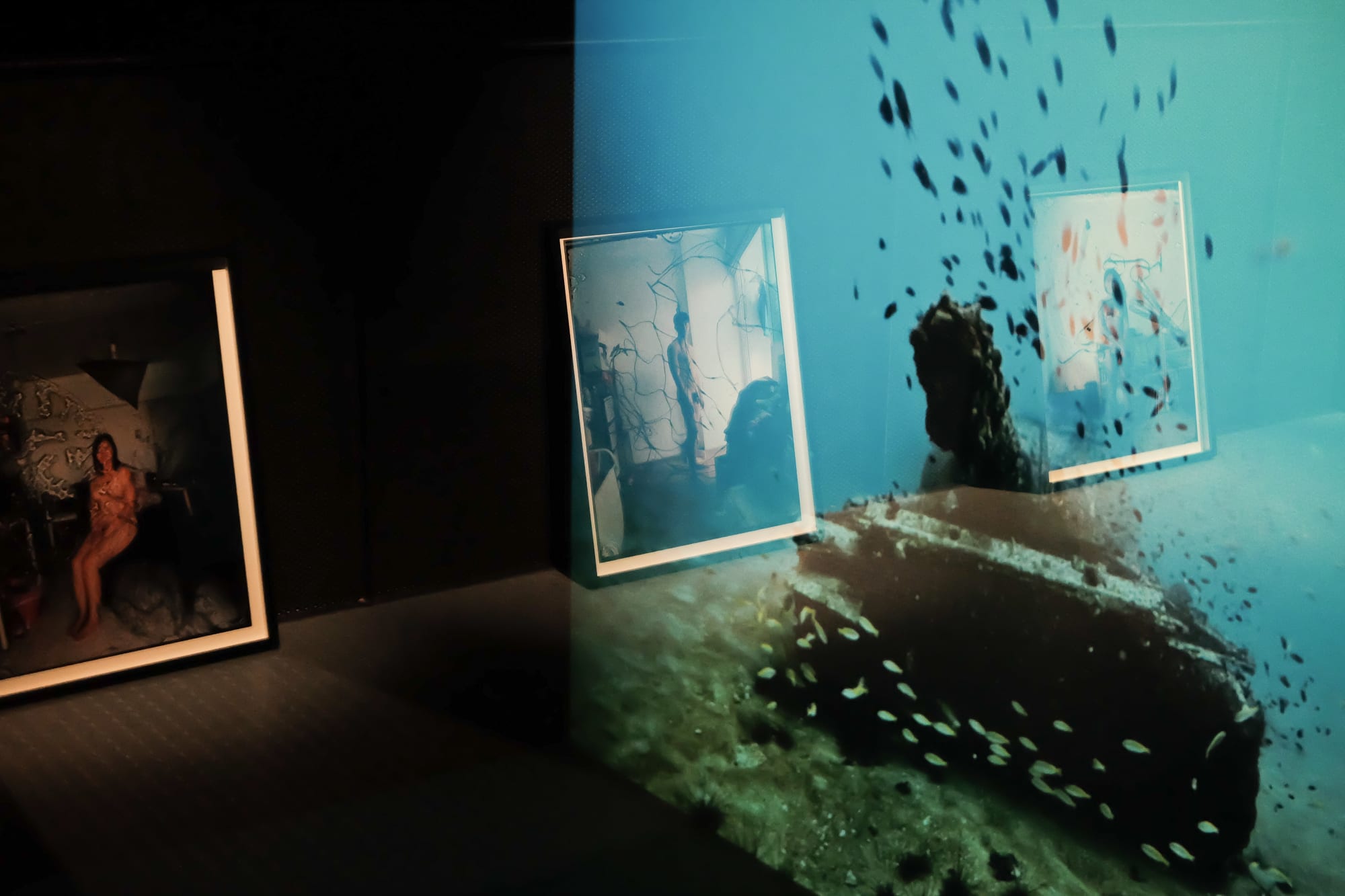 YOU LEAD ME DOWN, TO THE OCEAN