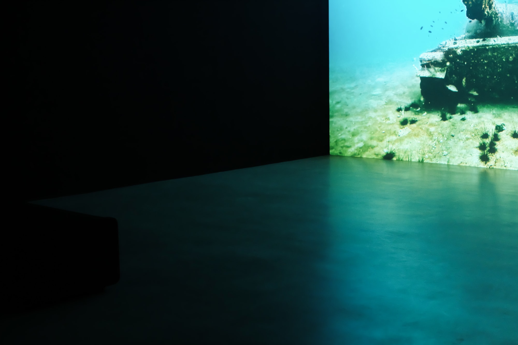 YOU LEAD ME DOWN, TO THE OCEAN