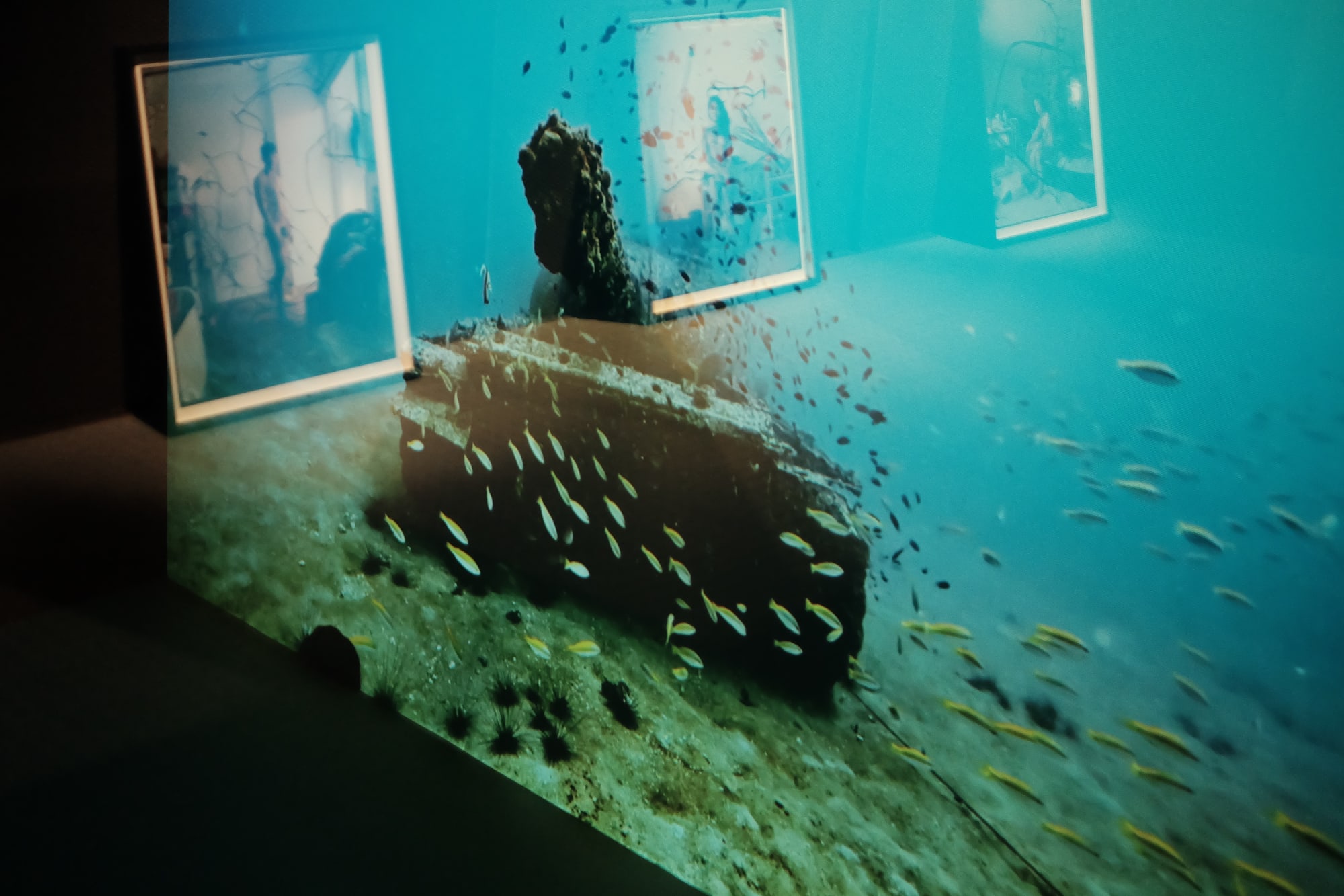 YOU LEAD ME DOWN, TO THE OCEAN