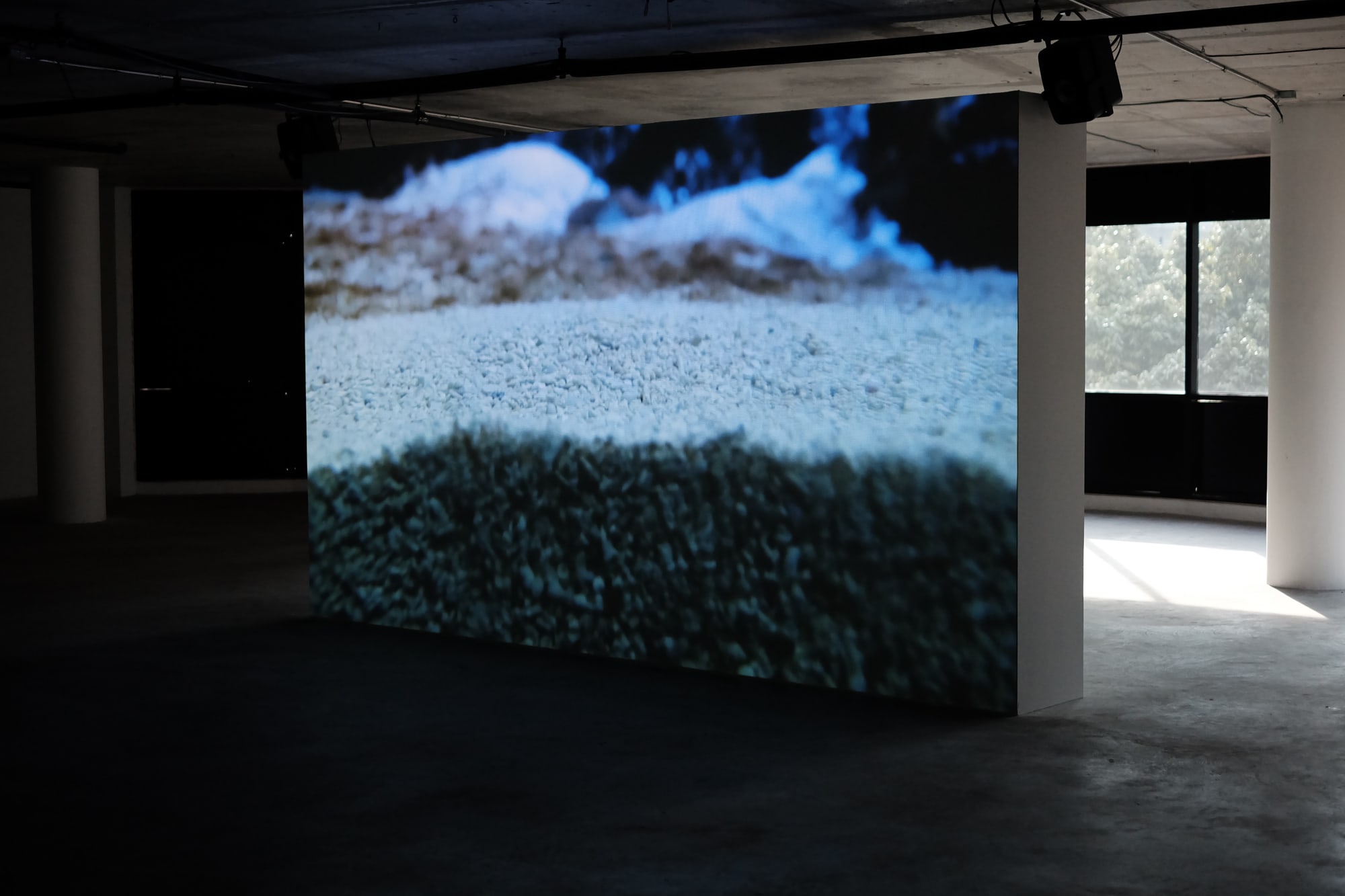 Ghost:2561 Sitting Feeding Sleeping