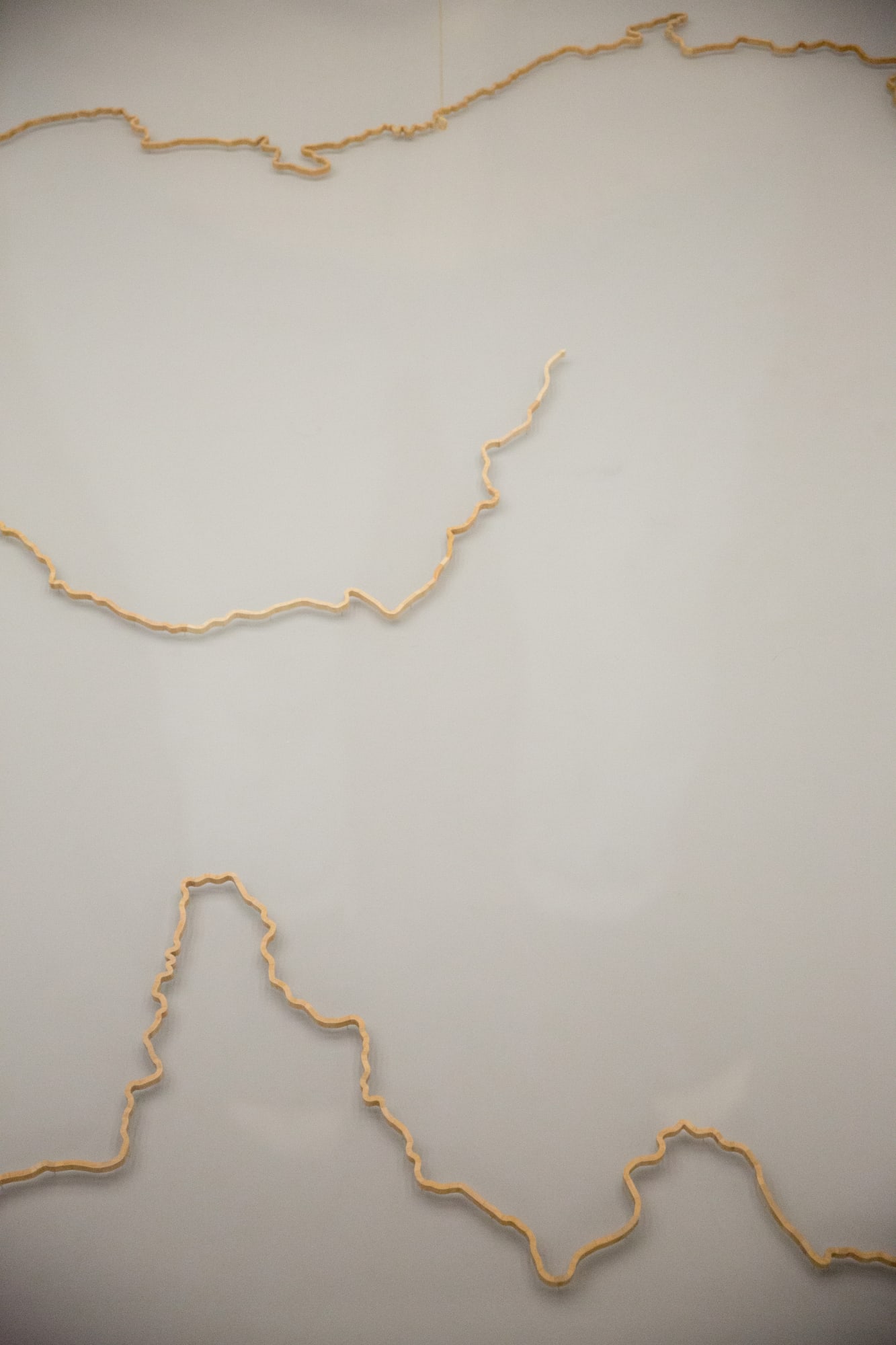 Neither Body nor Soul