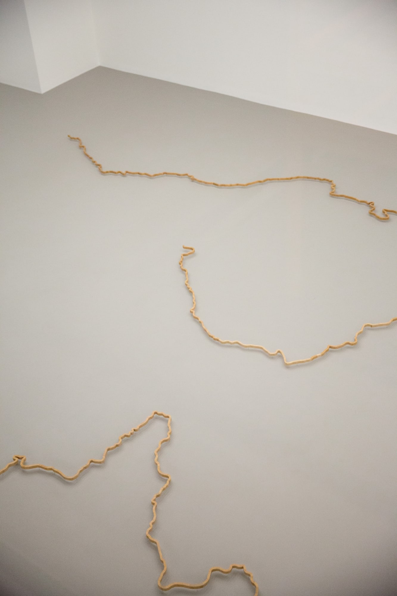 Neither Body nor Soul