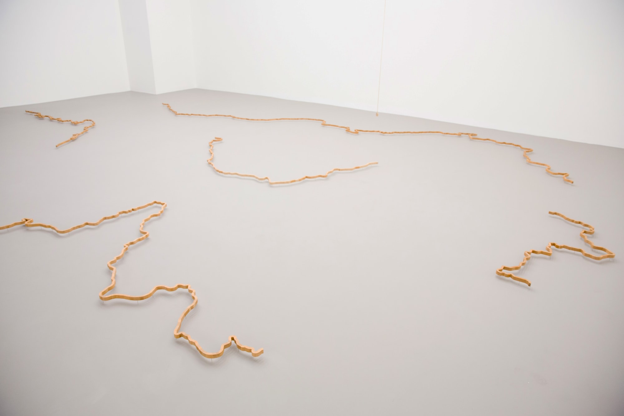 Neither Body nor Soul