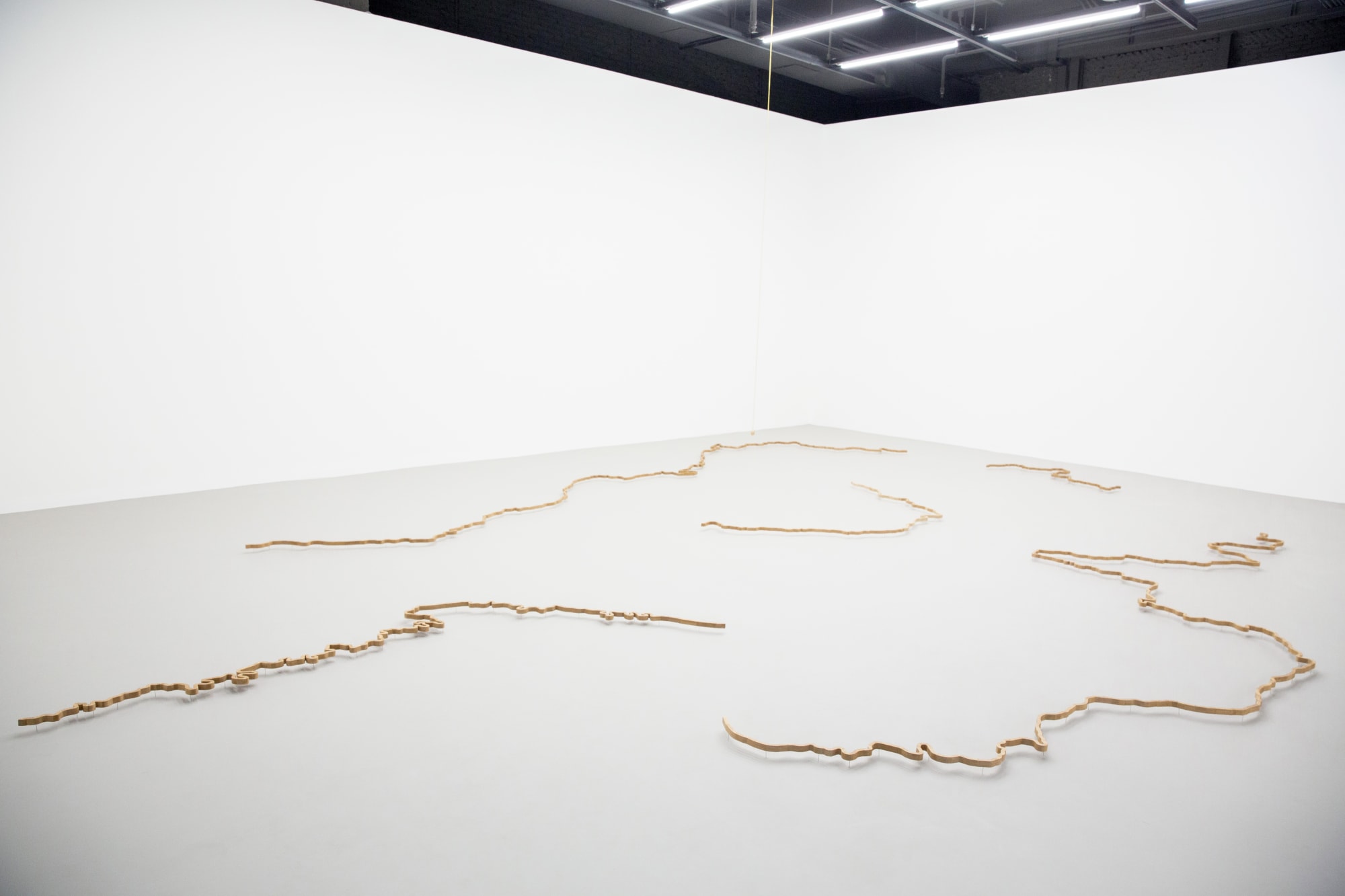 Neither Body nor Soul