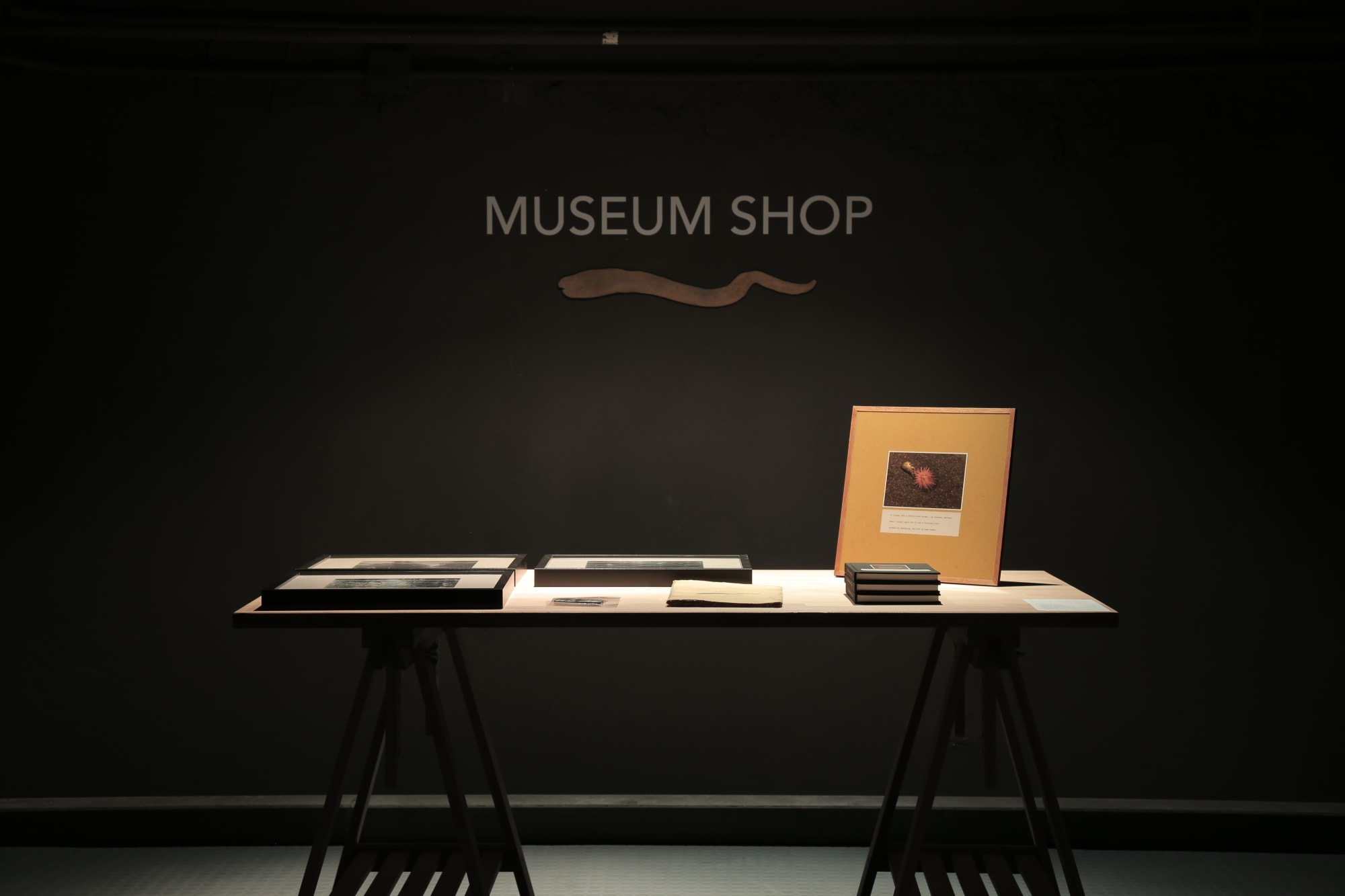 Museum of The Swamp of Eels