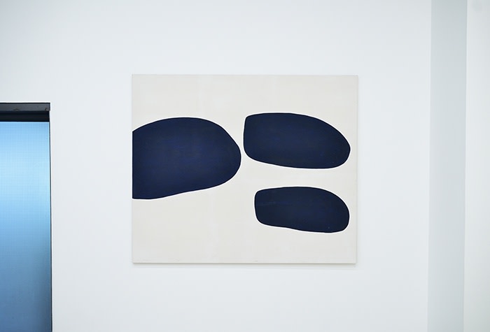 Corpuscles and Waves