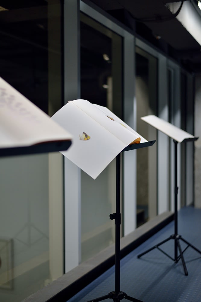 Corpuscles and Waves