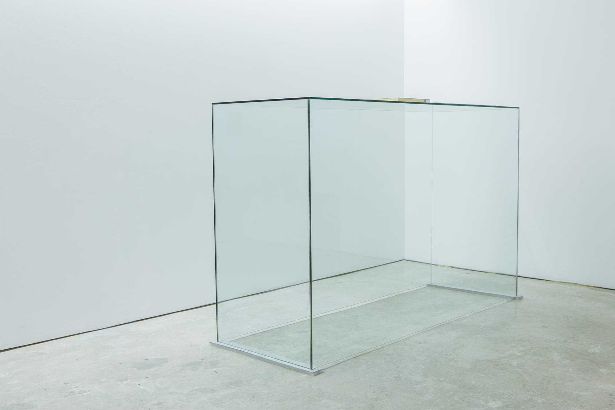 The Echo of Footsteps