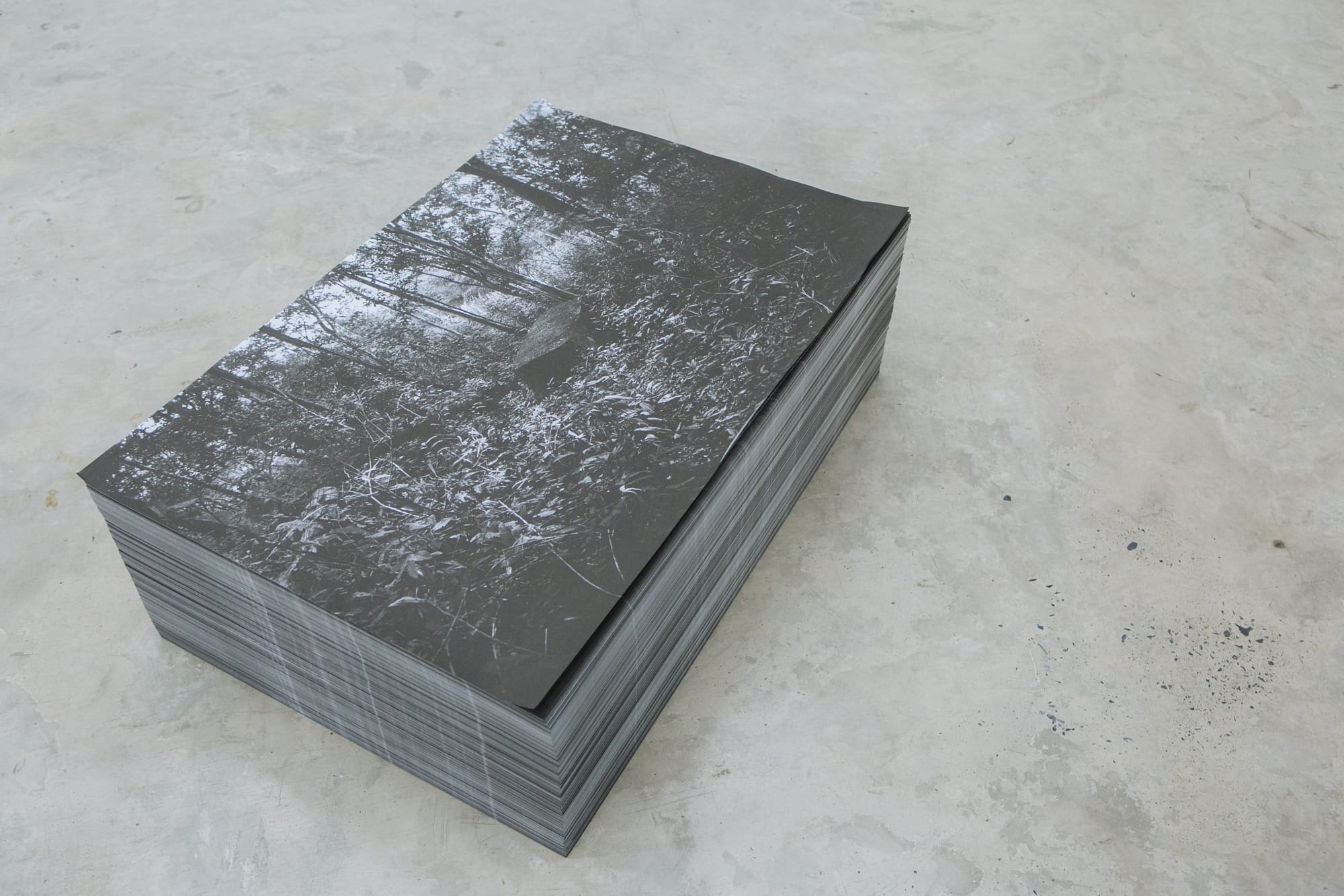 The Echo of Footsteps