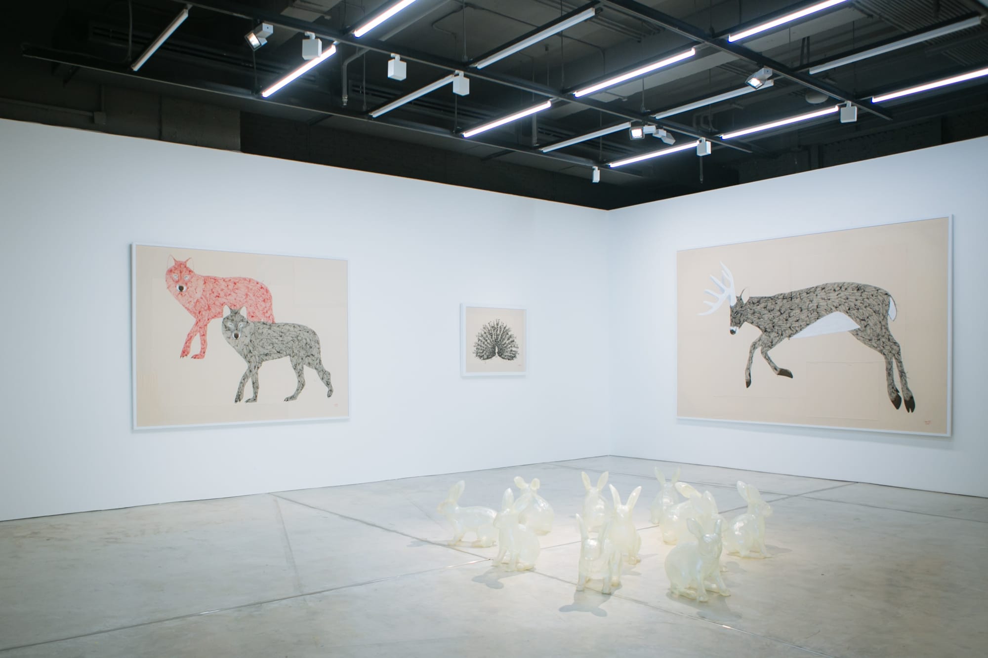 A New Interpretation of the Paradoxical World