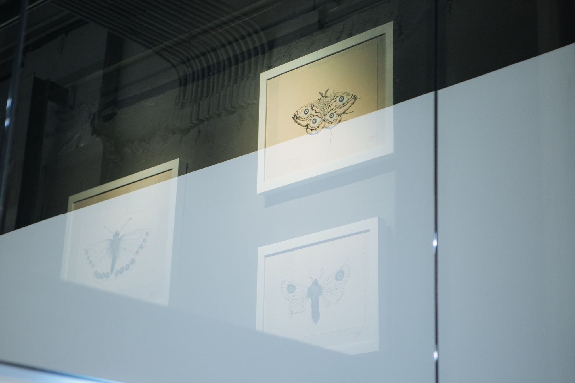 A New Interpretation of the Paradoxical World