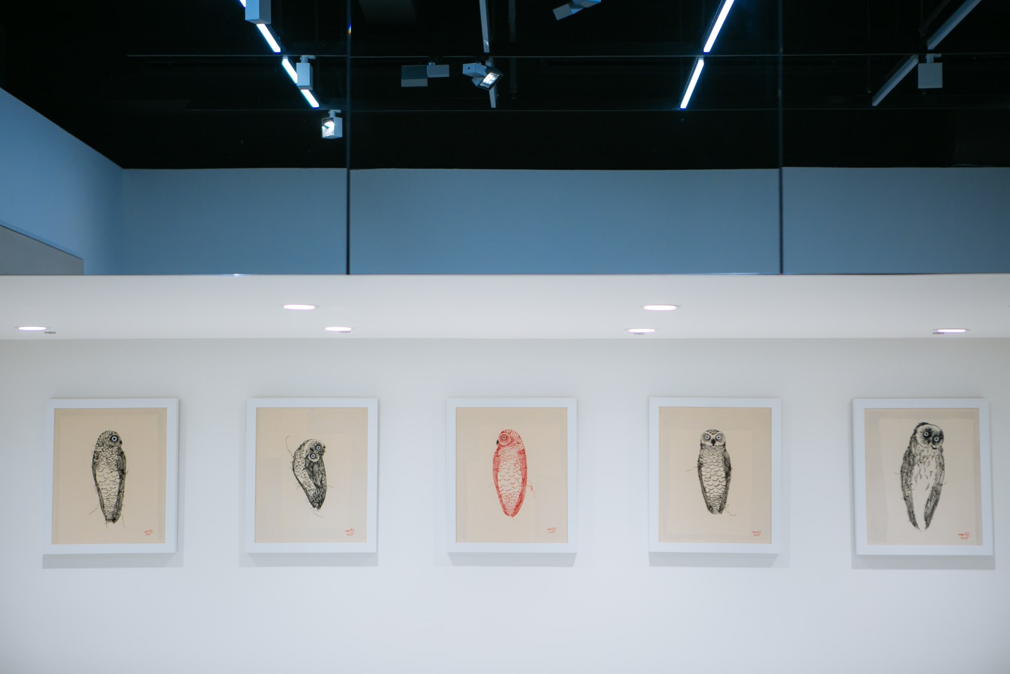 A New Interpretation of the Paradoxical World