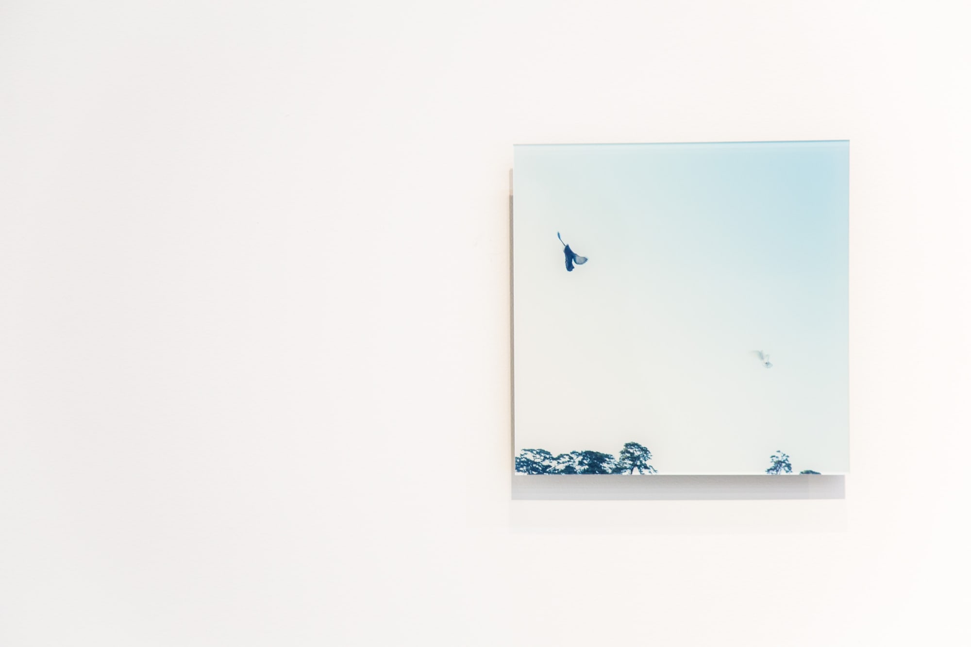 Today Is The Day: The Proposition Of Our Future