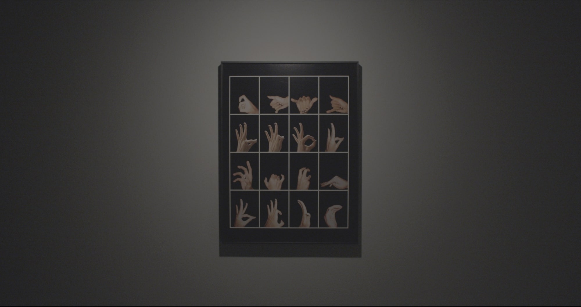 Hunting & Dancing, 15 years